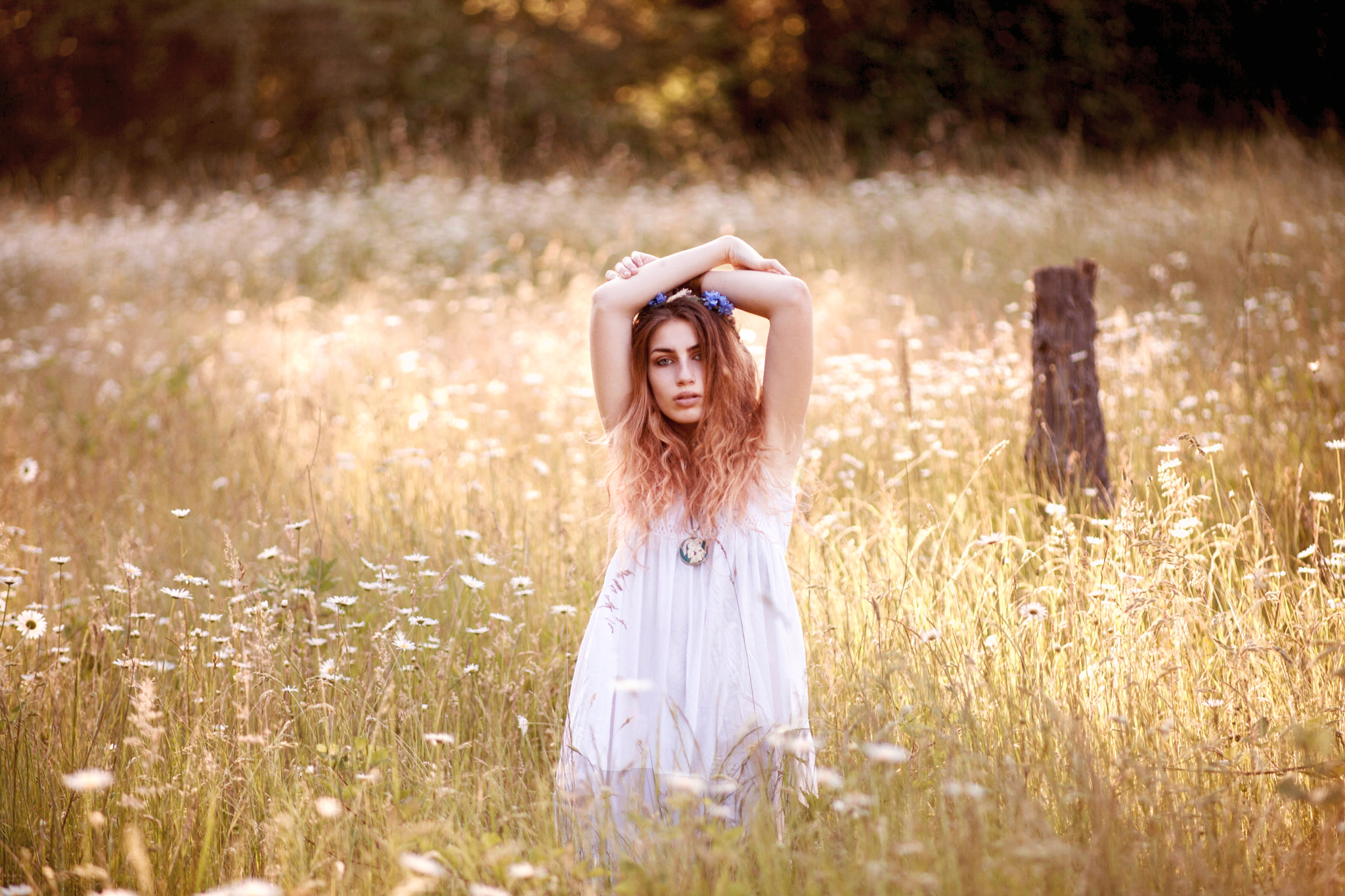 Canon EOS 5D Mark II + Canon EF 135mm F2.8 SF sample photo. Warm summer day photography