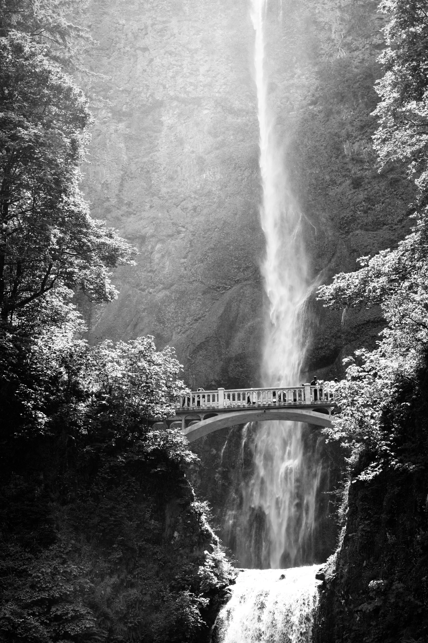 Sony a7 II + Canon EF 50mm F1.8 II sample photo. Bridge over the falls photography