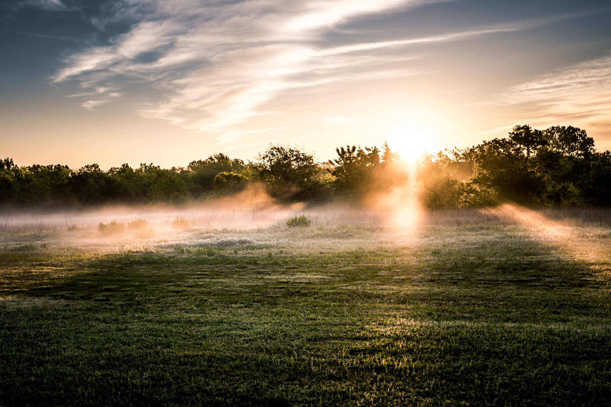 Sony a6300 + Sony Sonnar T* E 24mm F1.8 ZA sample photo. Fog face photography