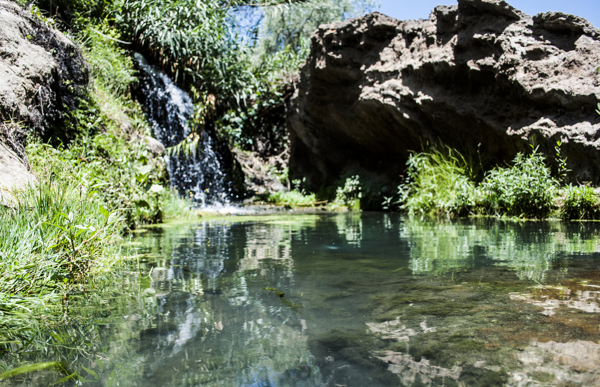 Nikon D40X sample photo. Churin photography