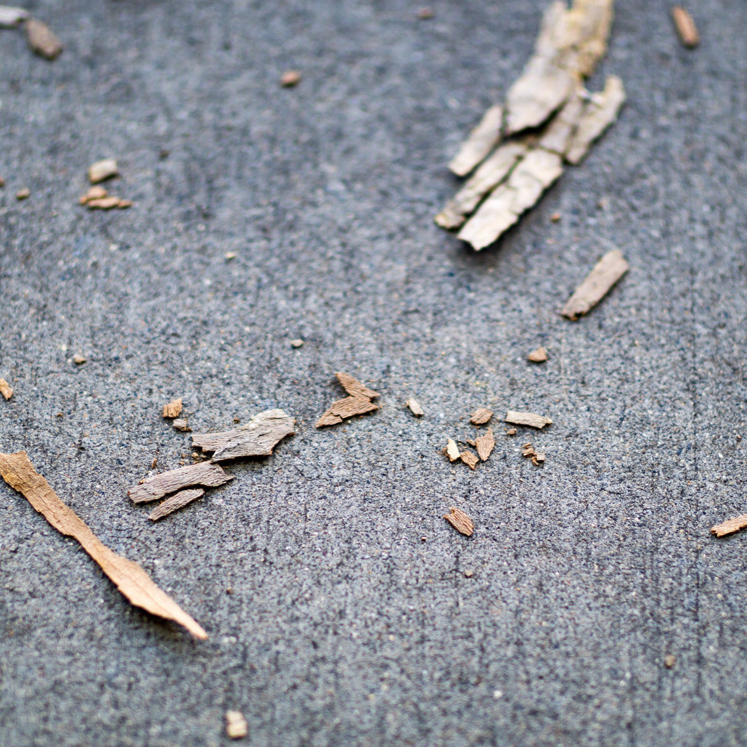 Sony Planar T* 50mm F1.4 ZA SSM sample photo. Pieces photography