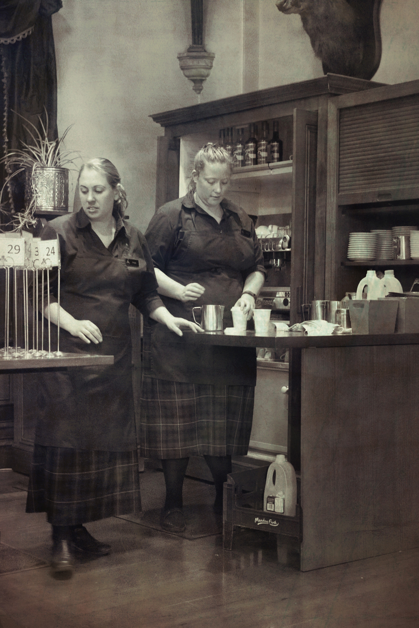 Sony a6000 + Sony Sonnar T* FE 35mm F2.8 ZA sample photo. Waitress in dunedin photography