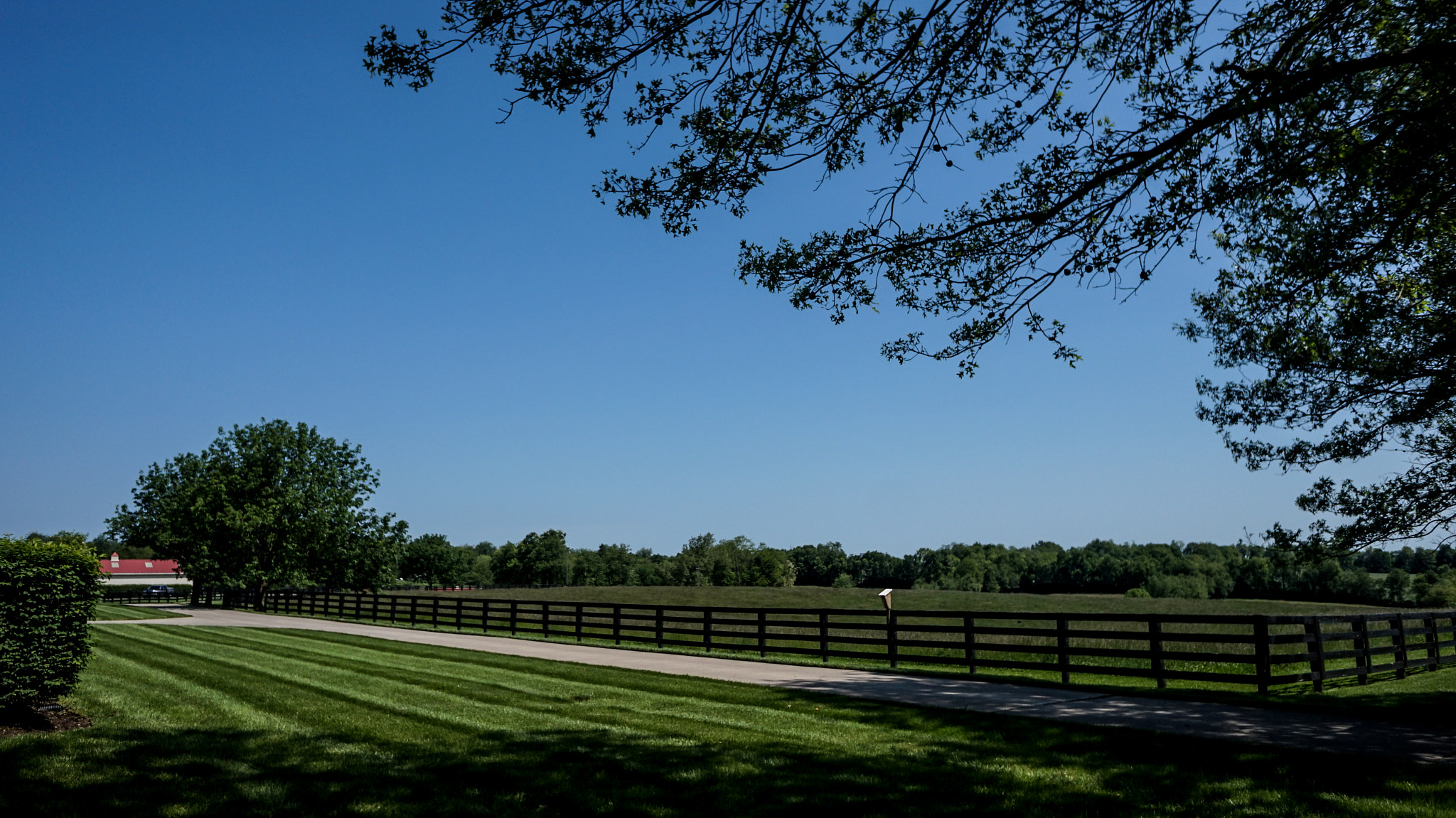 Sony Alpha a5000 (ILCE 5000) + Sony E 16mm F2.8 sample photo. Sunny day photography