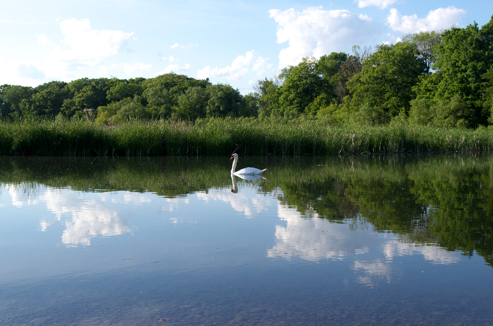 Pentax K-30 sample photo. Front and centre photography