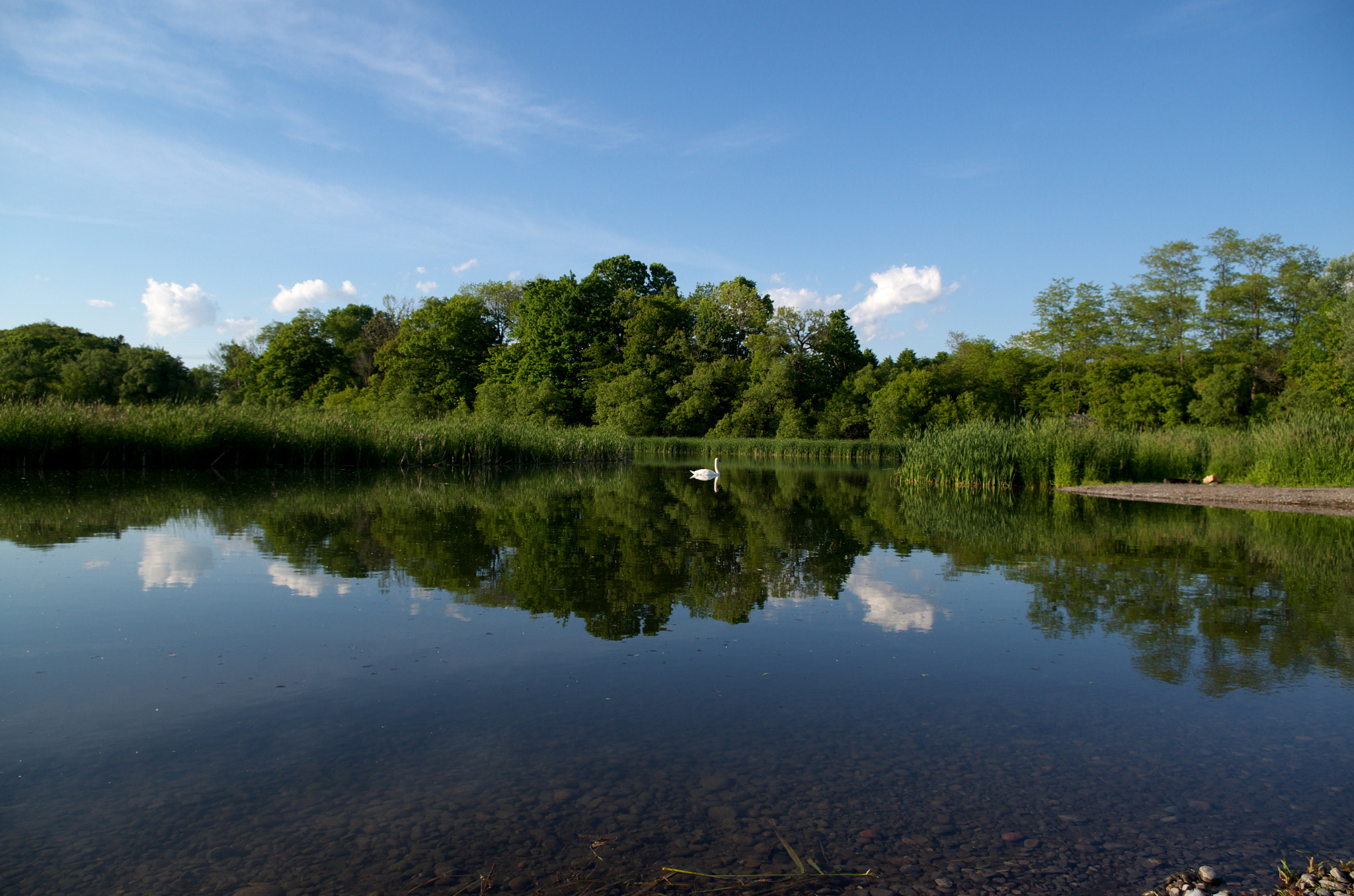 Pentax K-30 sample photo. Wide reflection photography