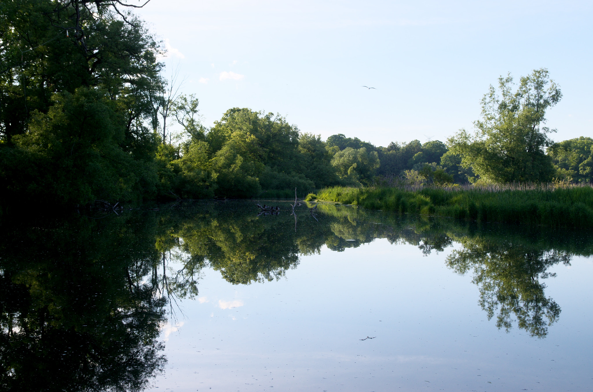 Pentax smc DA 18-55mm F3.5-5.6 AL WR sample photo. Natures mirror photography