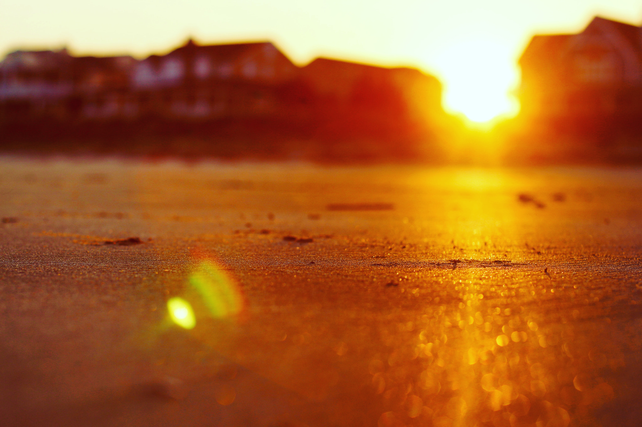 Canon EF 50mm F1.4 USM sample photo. Summer sunset photography