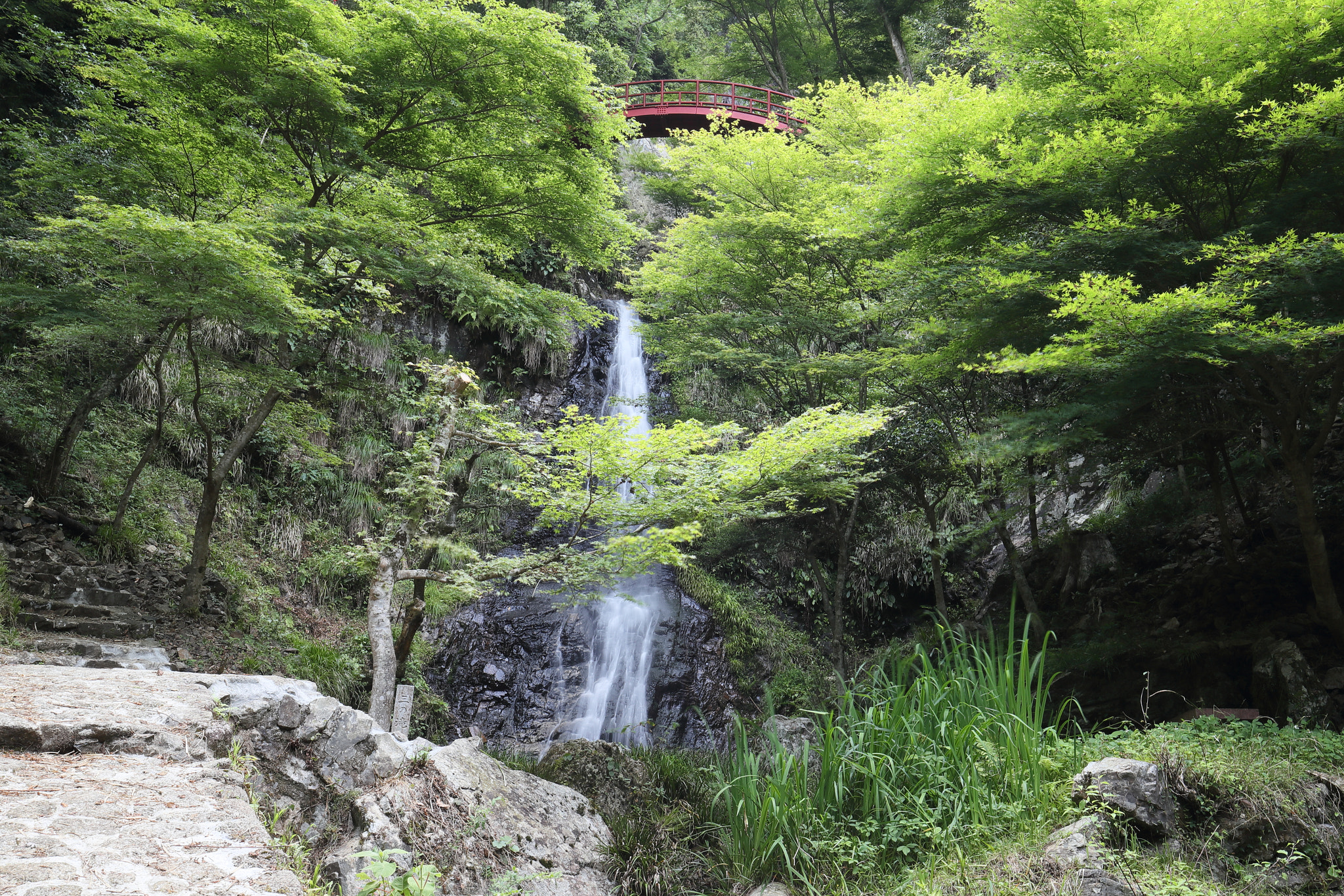Canon EF 16-35mm F4L IS USM sample photo. Waterfalls photography