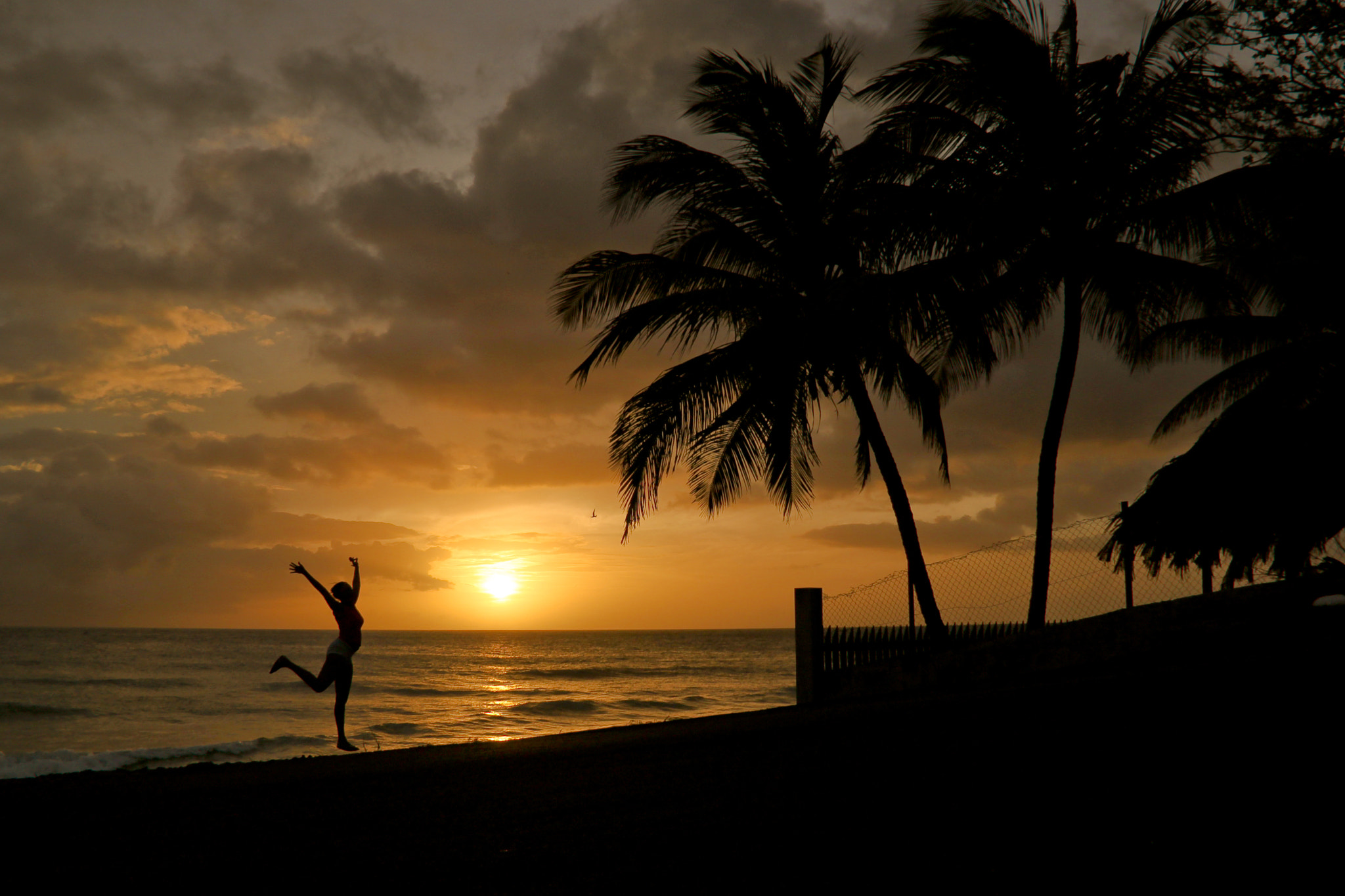Canon EOS 500D (EOS Rebel T1i / EOS Kiss X3) sample photo. Sunset bliss photography