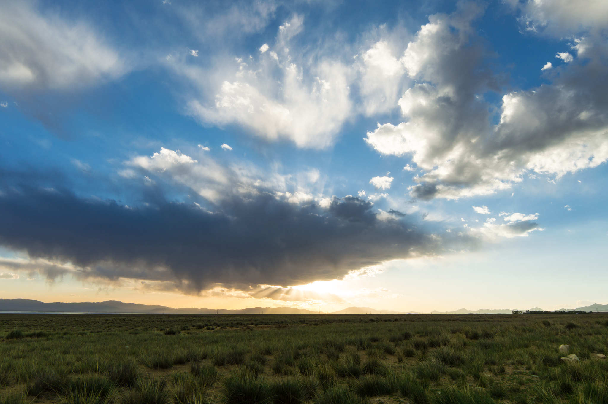Samyang 14mm F2.8 ED AS IF UMC sample photo. Holy light after rain photography