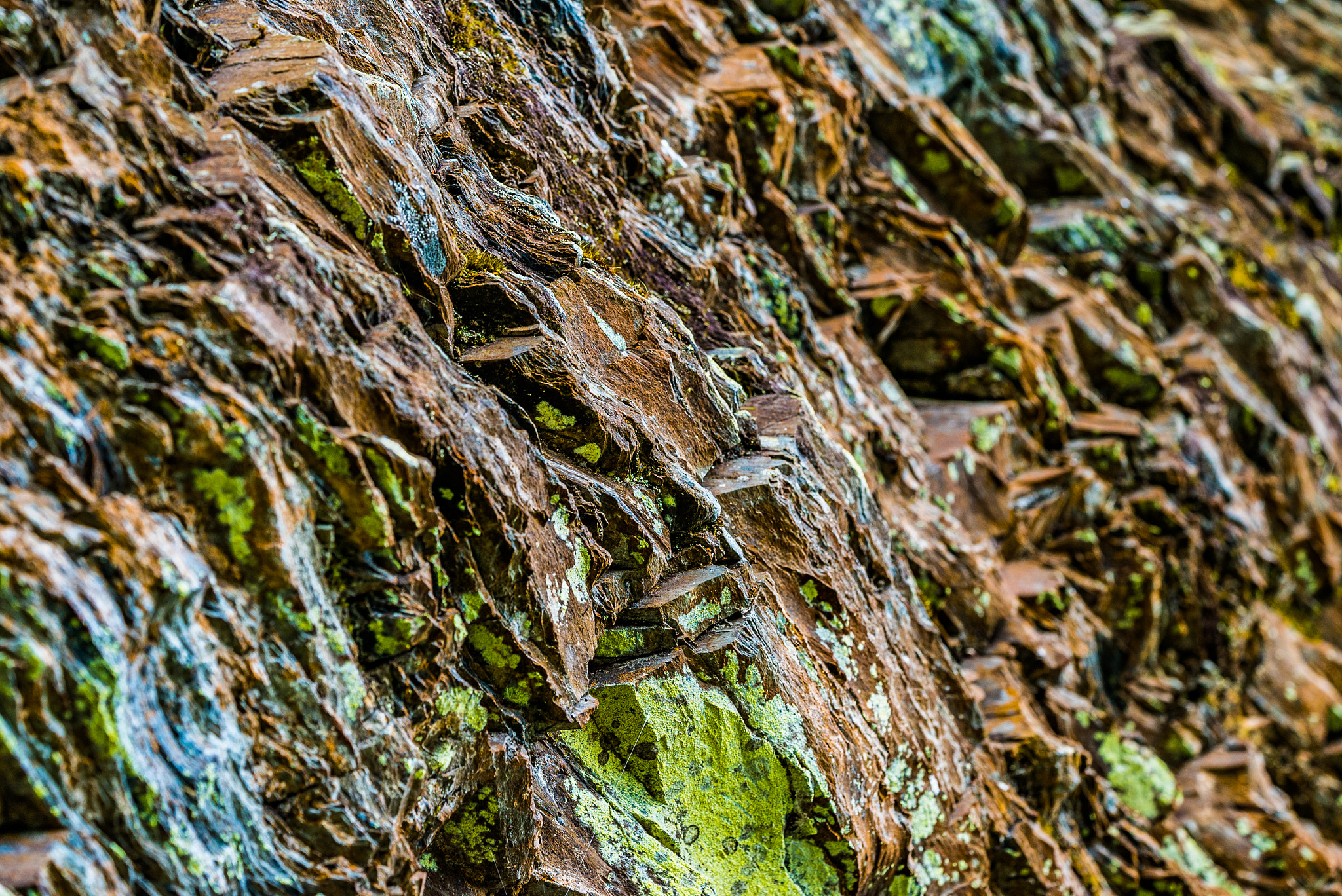 Sony a7S + Sony FE 90mm F2.8 Macro G OSS sample photo. Rock wall photography