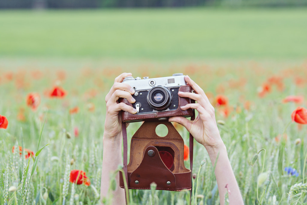 Love poppy by David Charouz on 500px.com