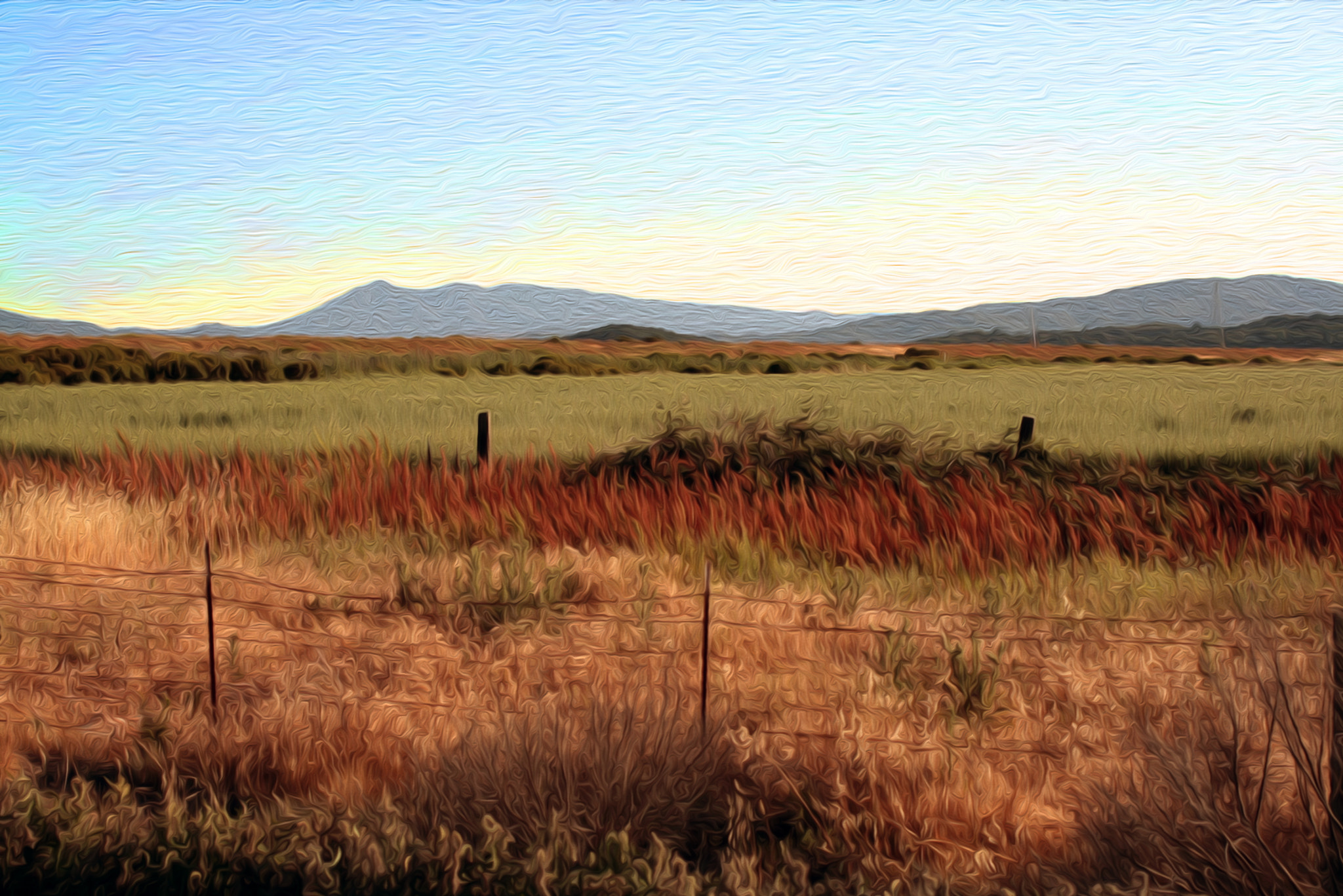 Canon EOS 400D (EOS Digital Rebel XTi / EOS Kiss Digital X) sample photo. Mt tamalpais across sonoma farmland photography
