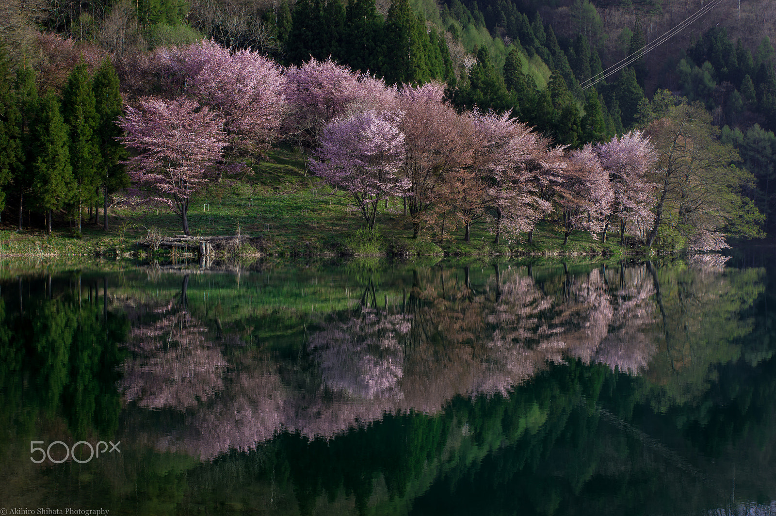 Pentax K-3 + HD Pentax-FA 35mm F2 AL sample photo. Spring lake photography