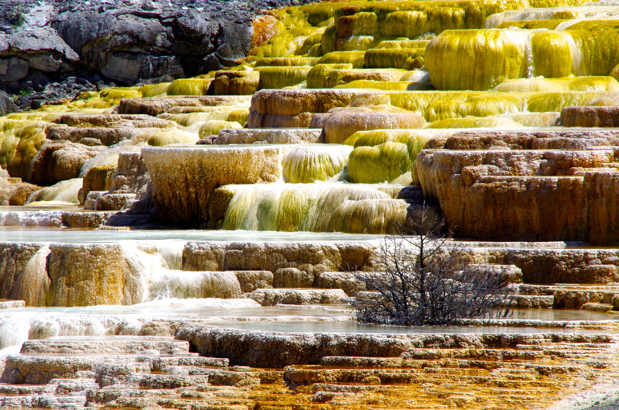 Tamron AF 18-200mm F3.5-6.3 XR Di II LD Aspherical (IF) Macro sample photo. Hot spring in yellowstone national park photography