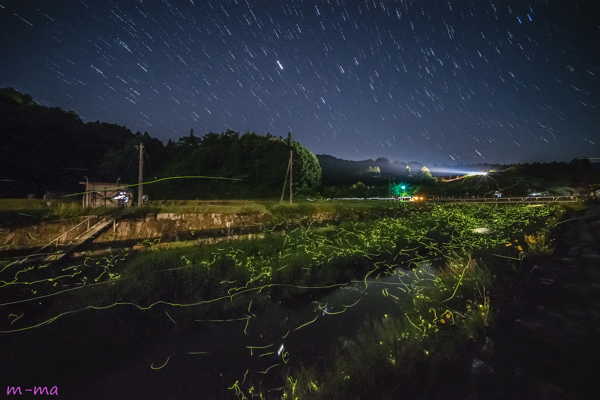 E 10mm F5.6 sample photo. Fireflies and stars photography