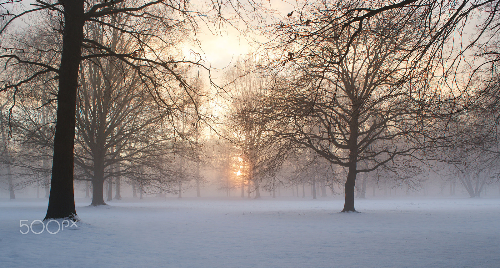 18.00 - 55.00 mm f/3.5 - 5.6 sample photo. In the fog photography