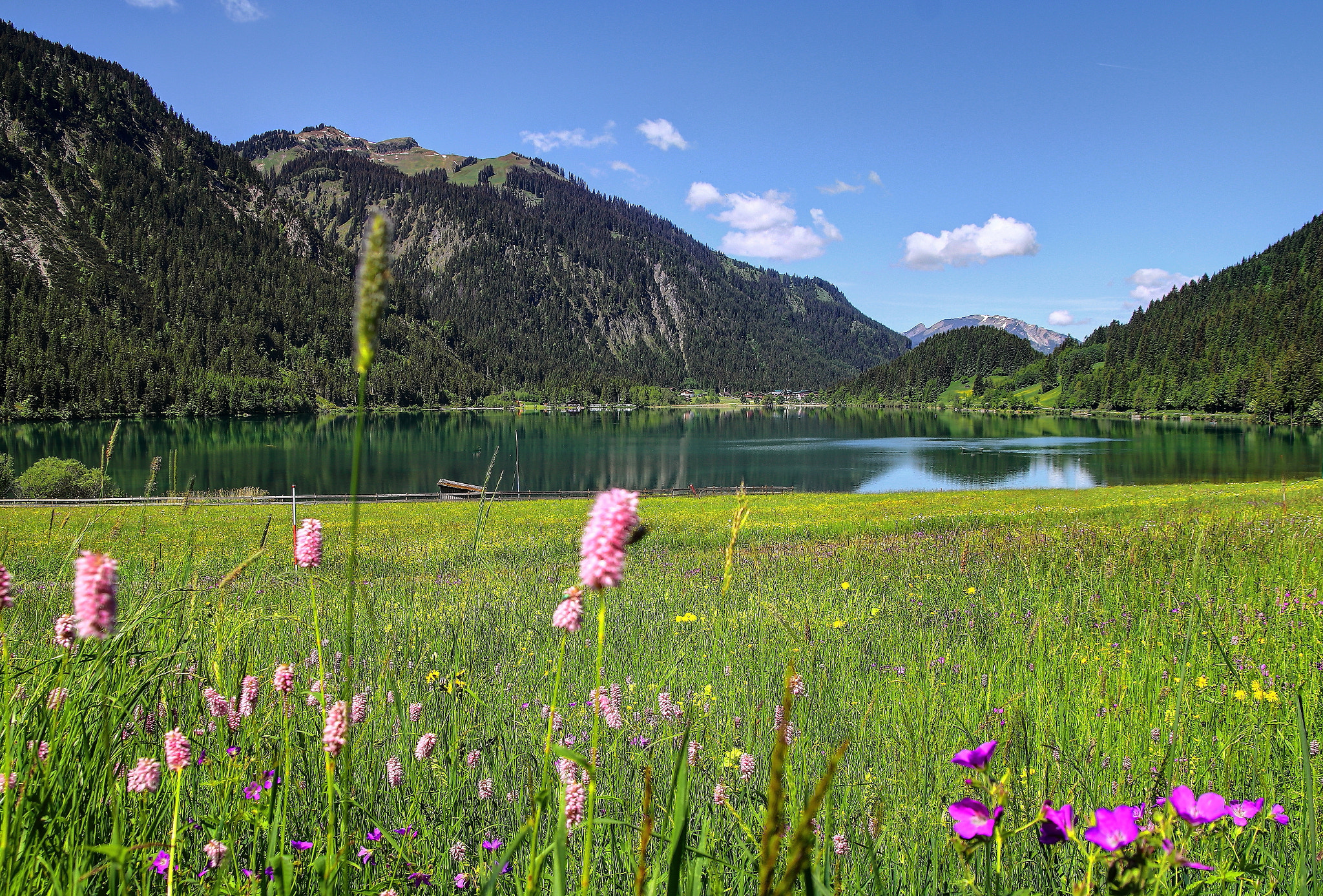 Canon EOS 80D + Canon TS-E 90mm F2.8 Tilt-Shift sample photo. Lake haldensee with spring-meadow photography