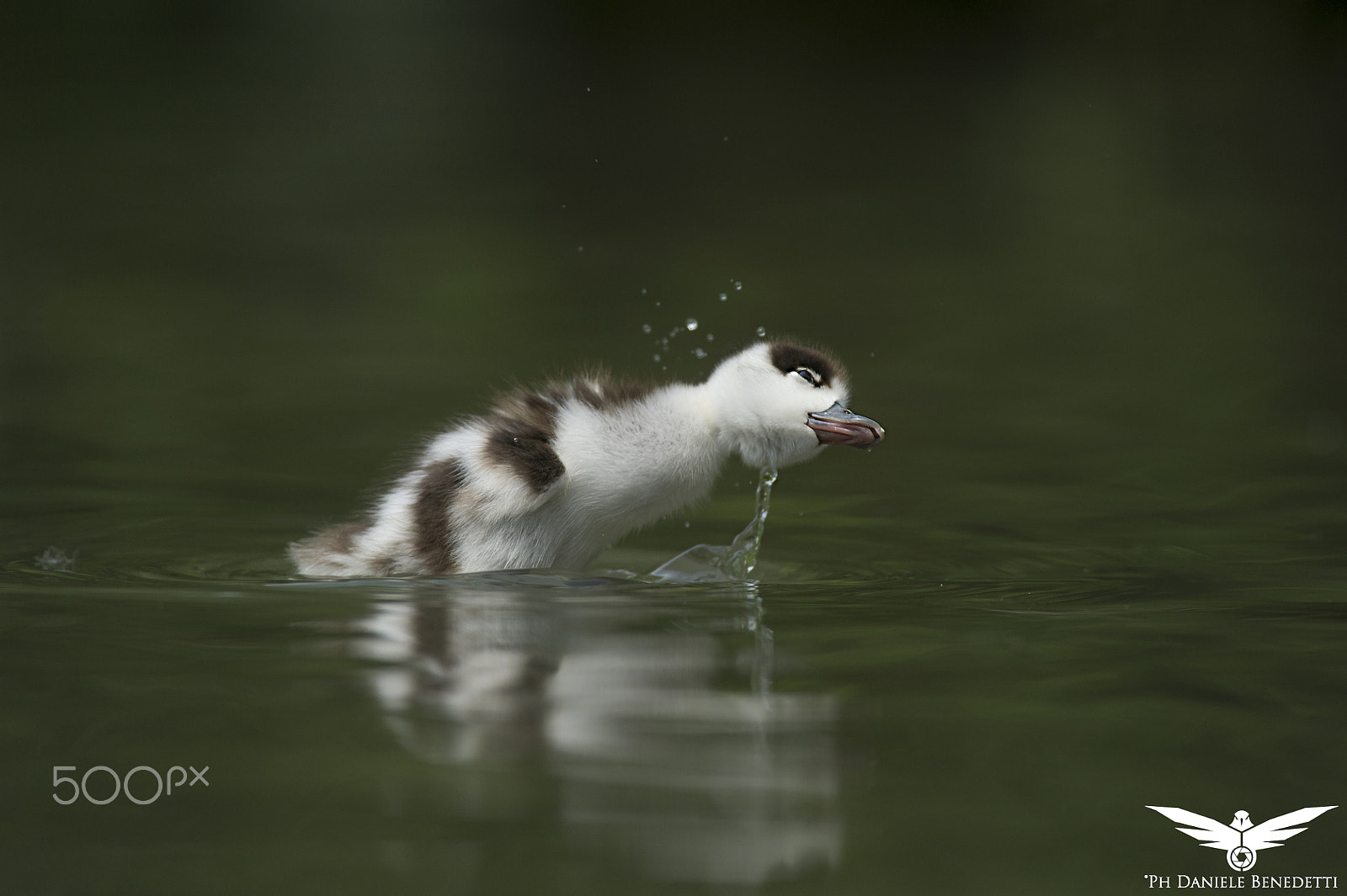 Nikon AF-S Nikkor 300mm F2.8G ED VR II sample photo. Baby shaking!!! photography