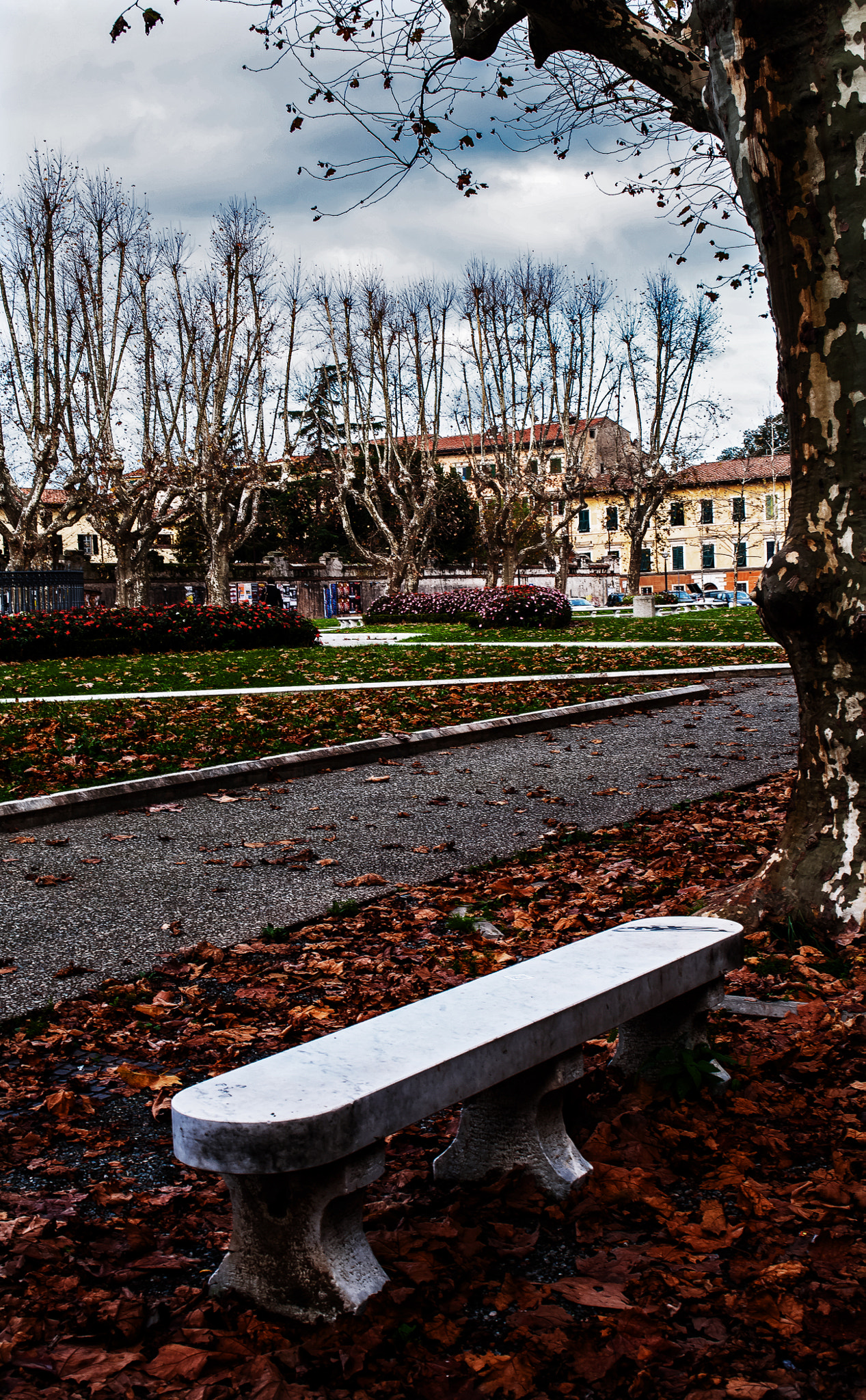 AF Zoom-Nikkor 28-85mm f/3.5-4.5 sample photo. Pisa-s.caterina photography
