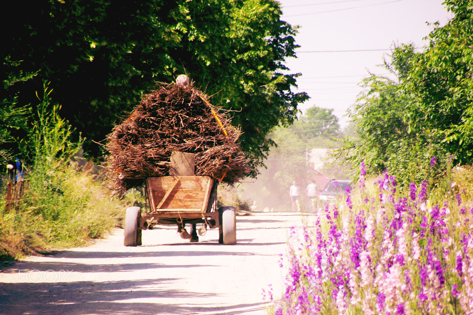 Fujifilm FinePix S2700HD sample photo. Village old cart photography