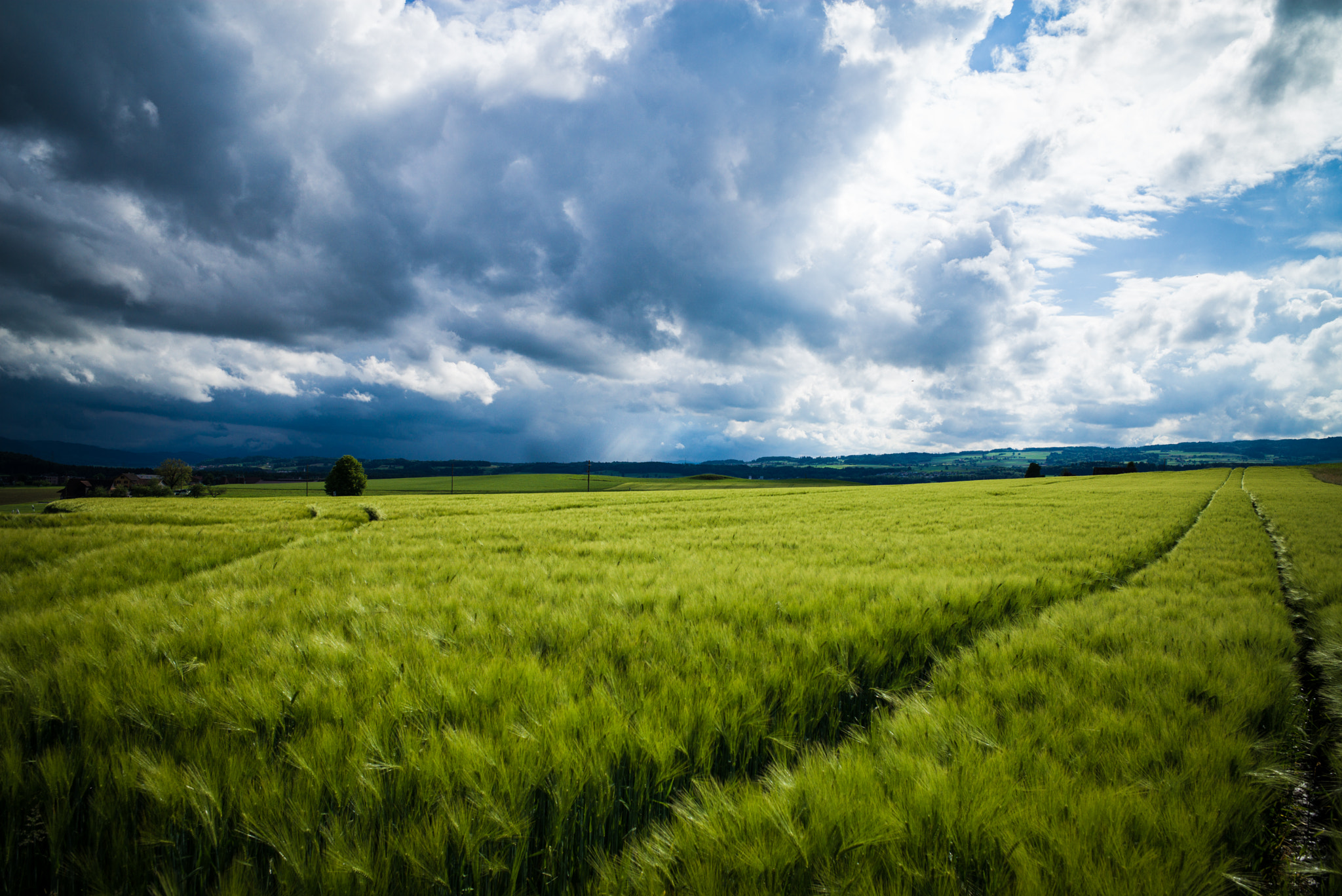 Leica Elmarit-M 28mm F2.8 ASPH sample photo. Sun comes out photography