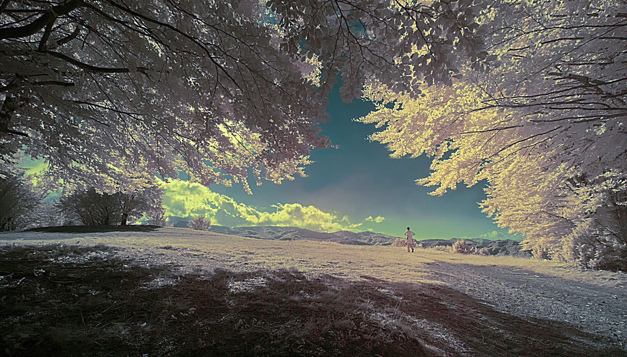 Nikon D80 sample photo. Skylight photography
