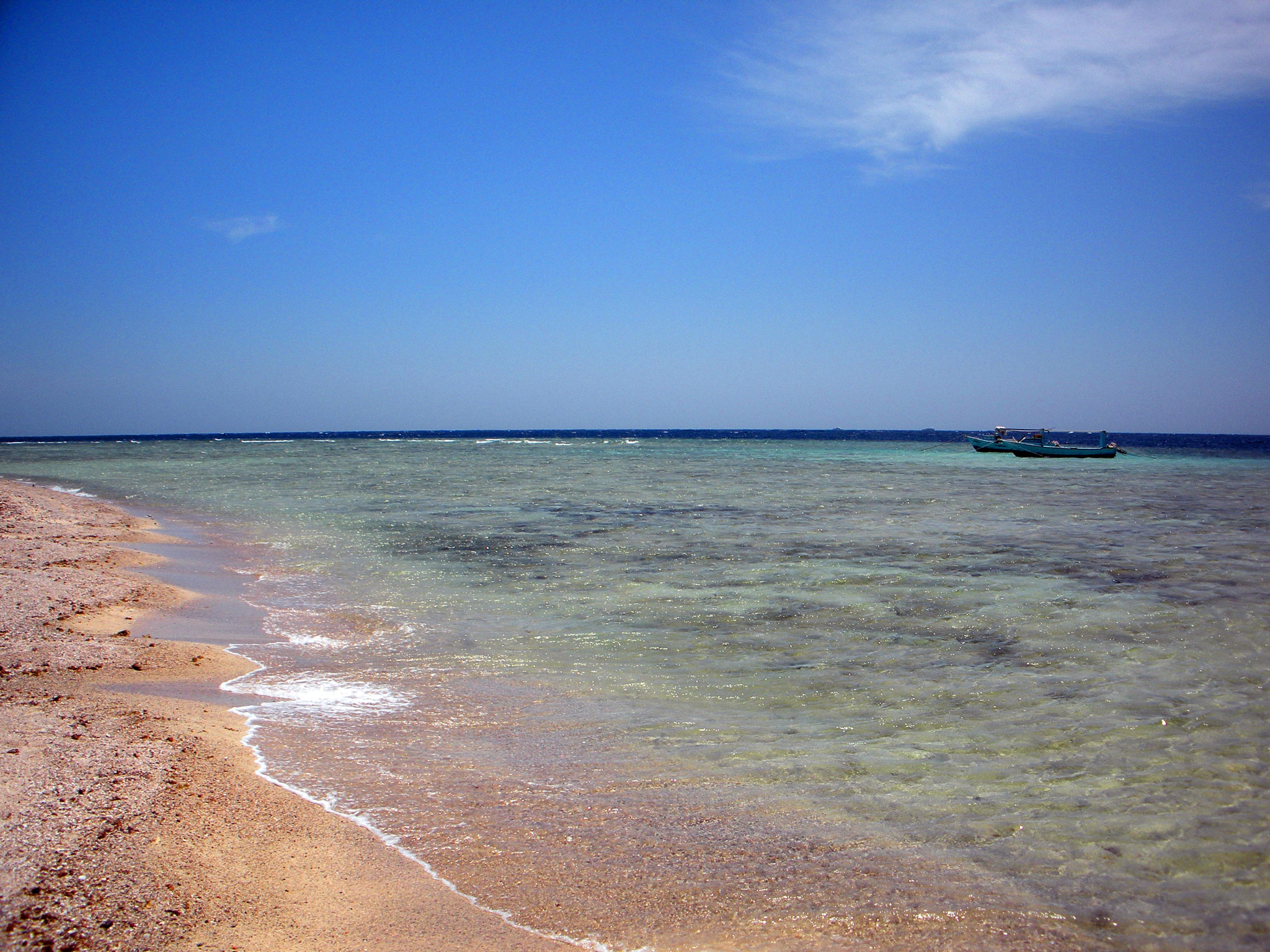 Nikon Coolpix S560 sample photo. Red sea fishes and underwater landscapes photography