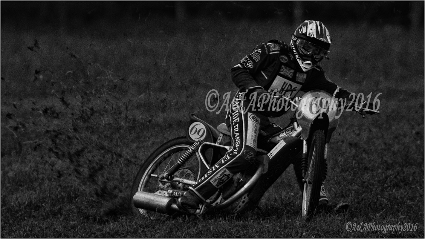 Nikon AF-S Nikkor 300mm F2.8G ED-IF VR sample photo. Grass trak photography