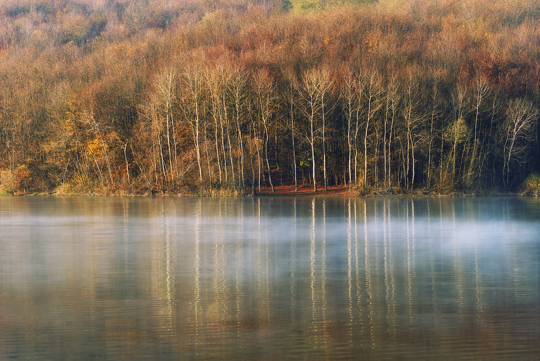 Sigma 105mm F2.8 EX DG OS HSM sample photo. Fall colours on lake photography