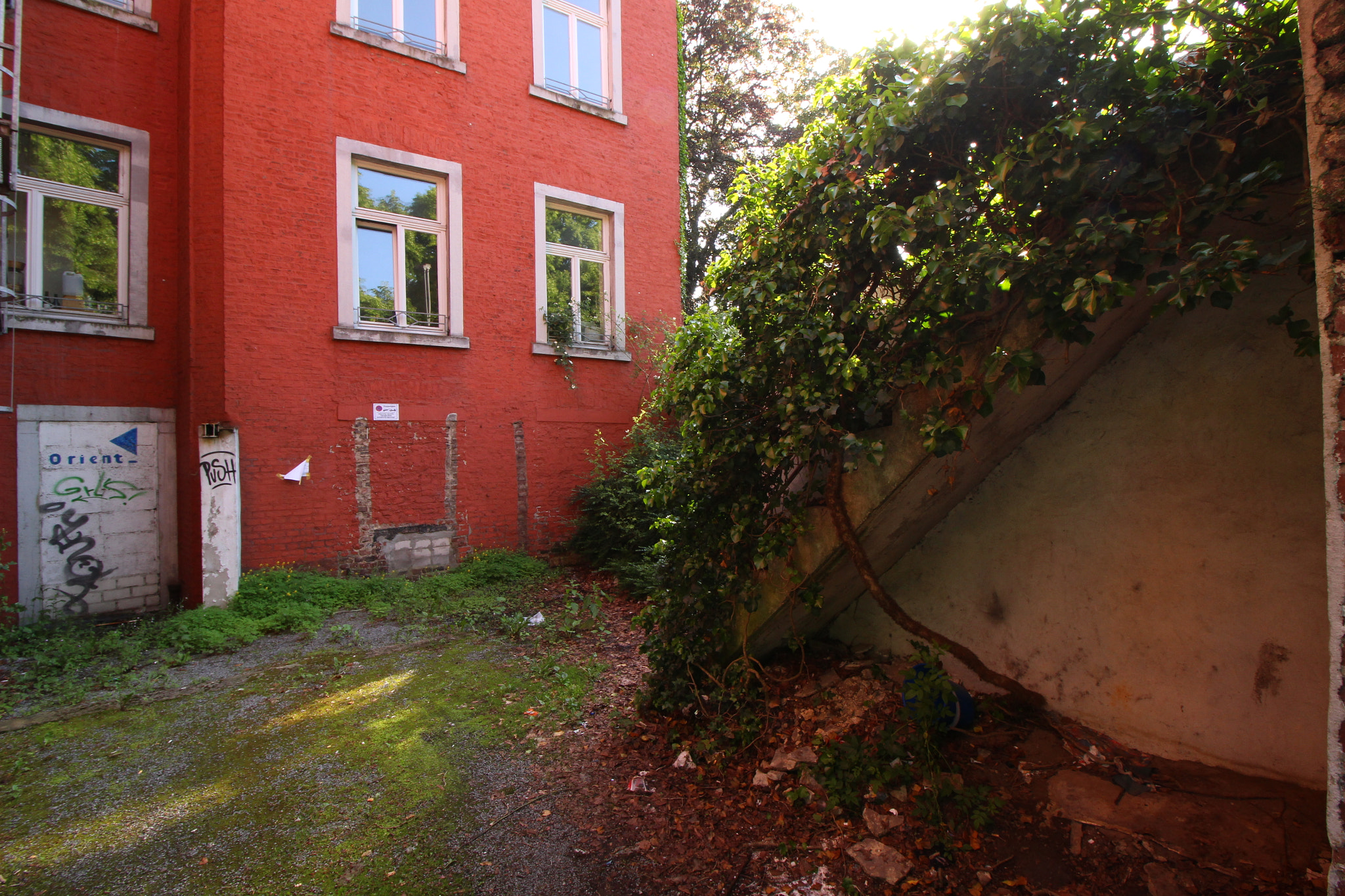 Canon EF-S 10-18mm F4.5–5.6 IS STM sample photo. Backyard in aachen photography
