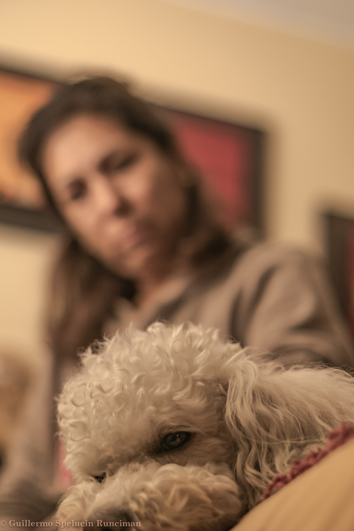 Sony ILCA-77M2 + Sony 50mm F1.4 sample photo. Resented due to the absence photography
