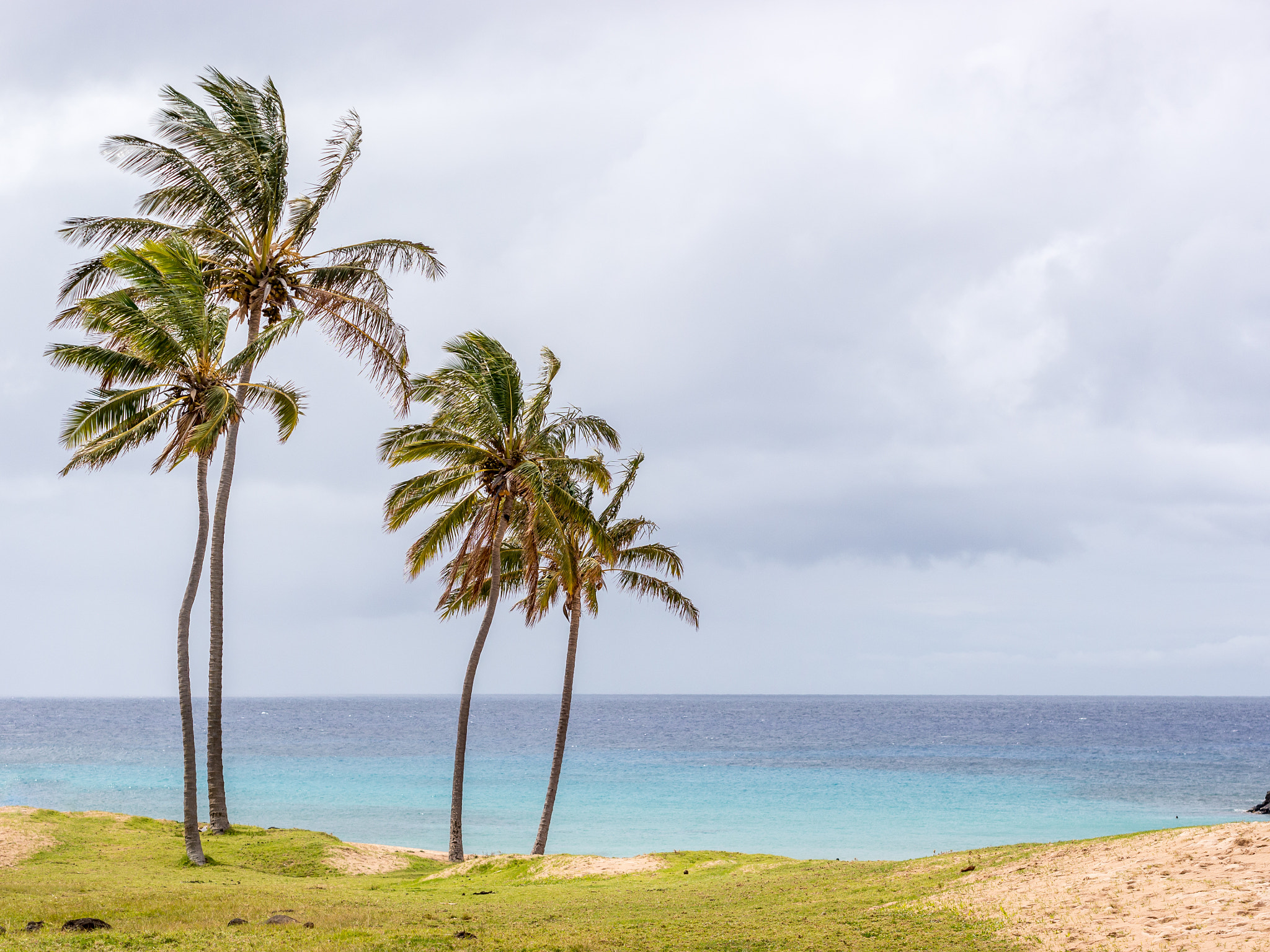 Panasonic Lumix DMC-G5 + Olympus M.Zuiko Digital 45mm F1.8 sample photo. Magic view from anakena beach photography