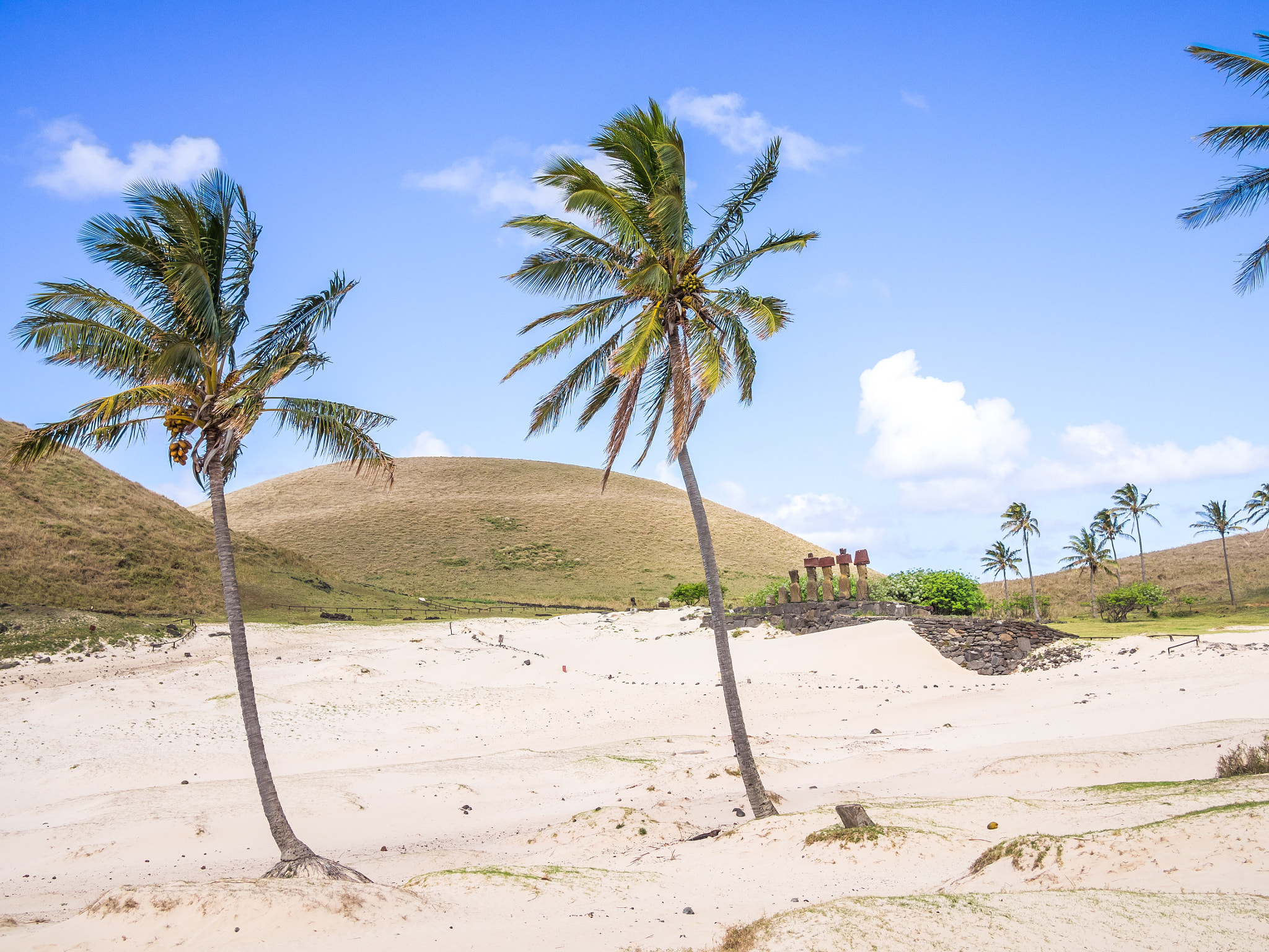 Olympus OM-D E-M1 + Panasonic Lumix G 20mm F1.7 ASPH sample photo. The white sand in the anakena beach photography