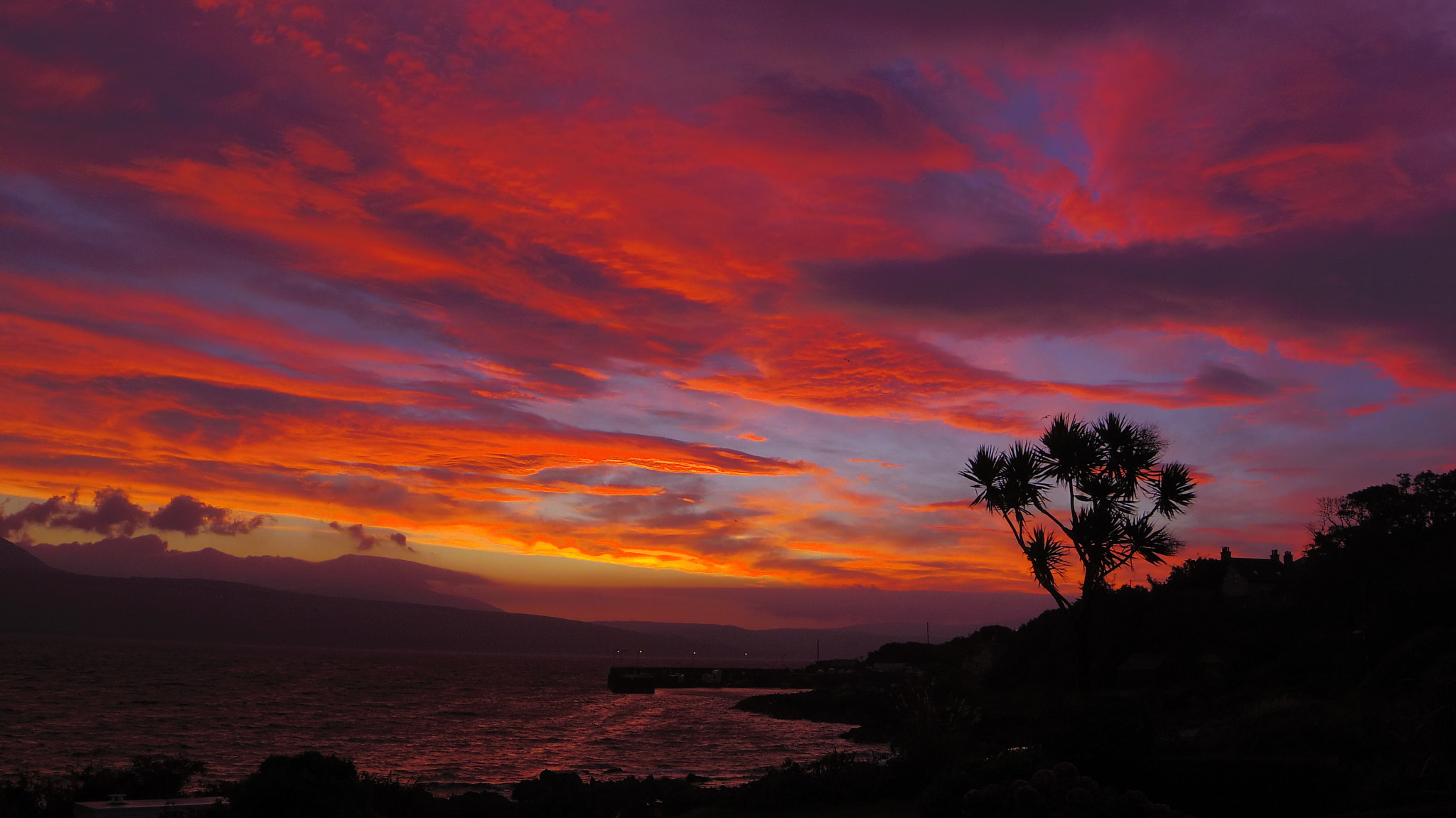 Pentax Q sample photo. Subtropical paradise?  no, kintyre scotland photography