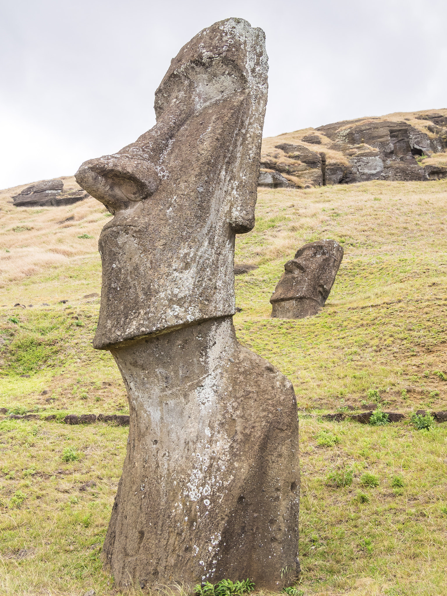 Olympus OM-D E-M1 + Panasonic Lumix G 20mm F1.7 ASPH sample photo. The big moai of the quarry photography