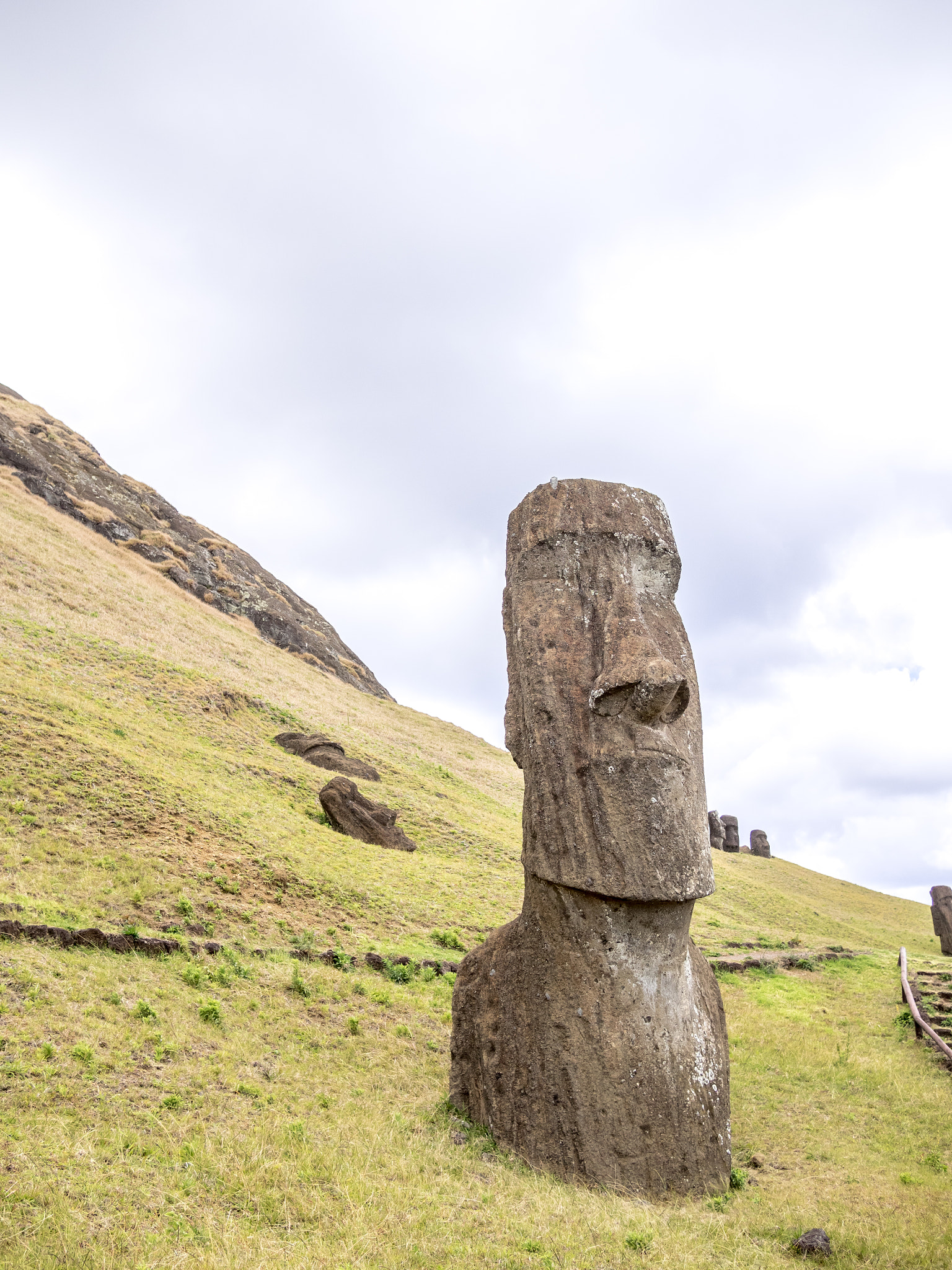 Olympus OM-D E-M1 + Panasonic Lumix G 20mm F1.7 ASPH sample photo. The head of the moai photography