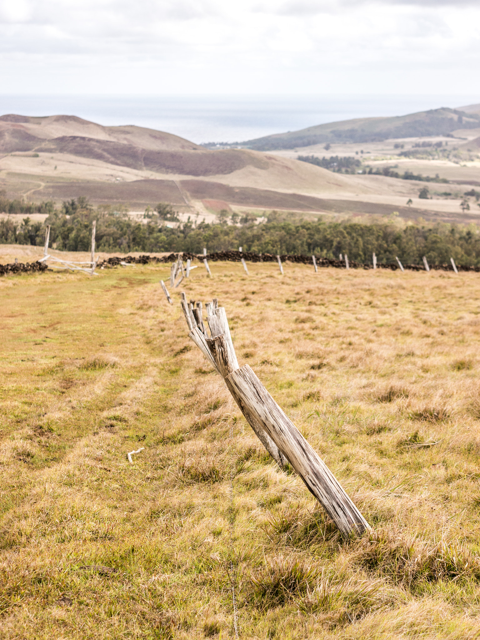 Panasonic Lumix DMC-G5 + Olympus M.Zuiko Digital 45mm F1.8 sample photo. Easter island fences photography