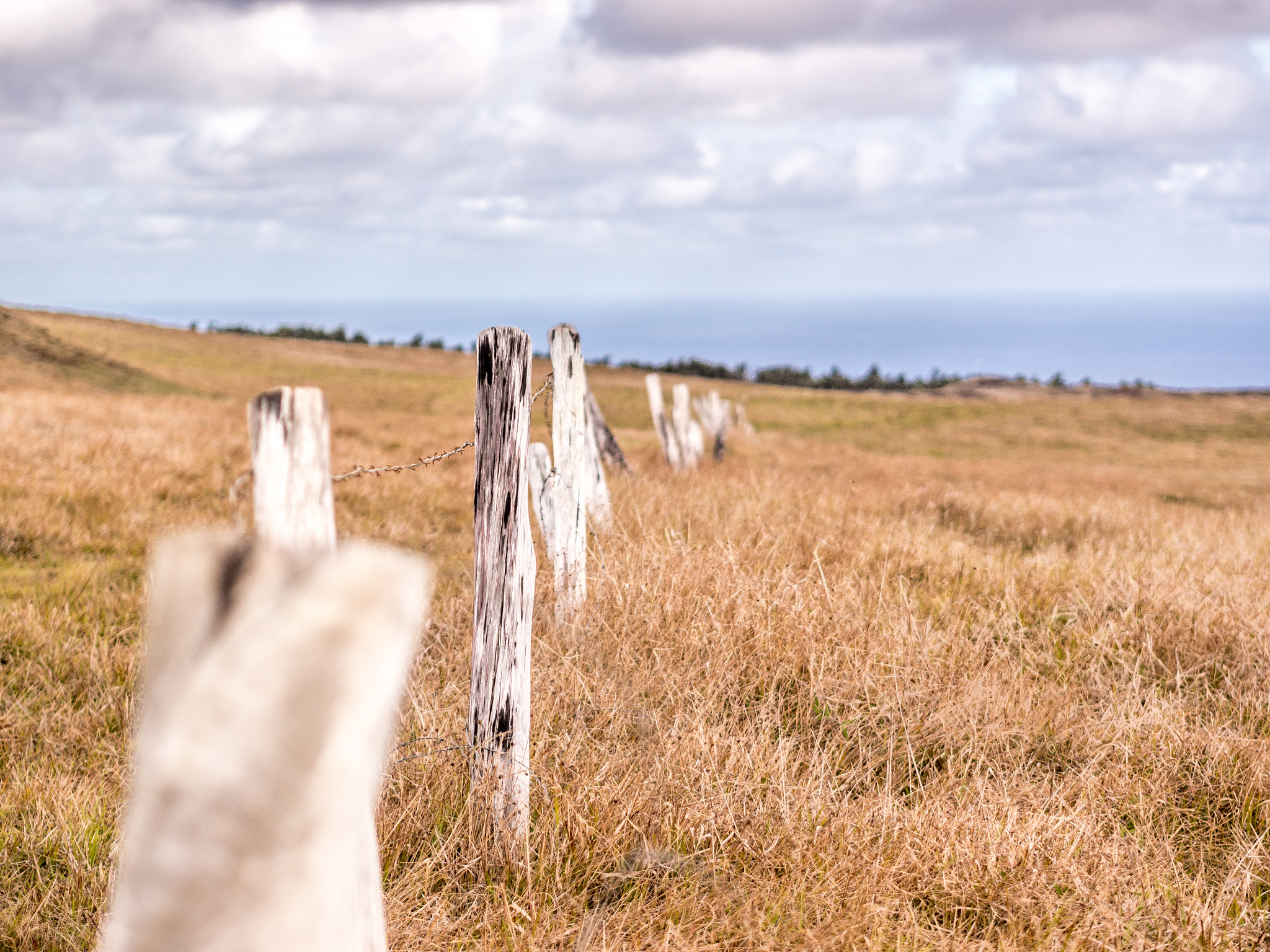 Panasonic Lumix DMC-G5 + Olympus M.Zuiko Digital 45mm F1.8 sample photo. Fences of easter island photography