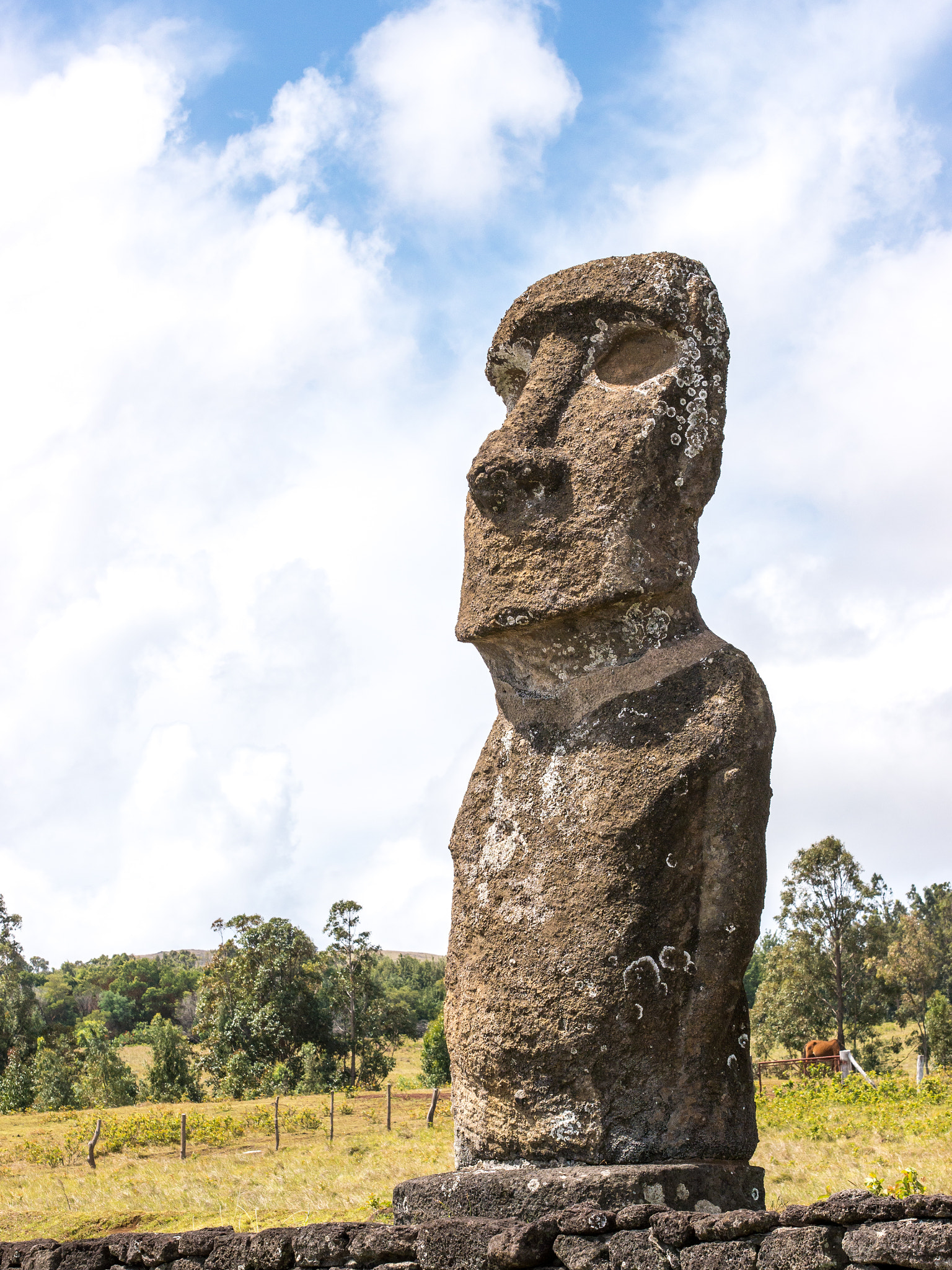 Panasonic Lumix DMC-G5 sample photo. The akivi moai photography