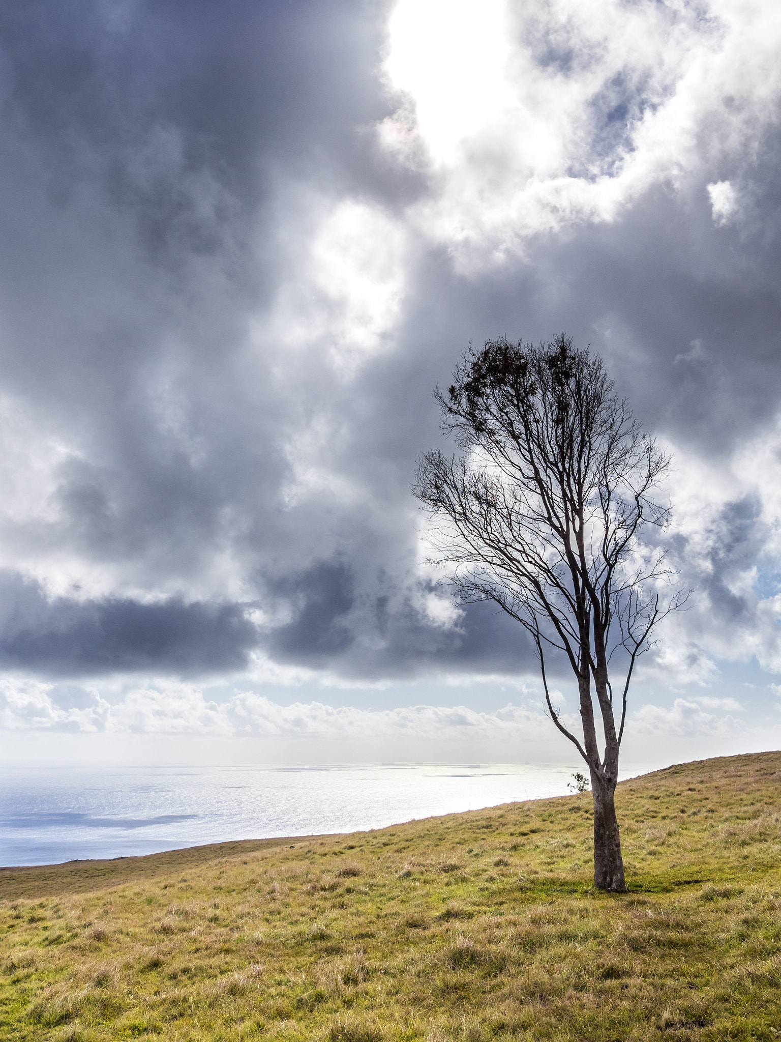Olympus OM-D E-M1 + Panasonic Lumix G 20mm F1.7 ASPH sample photo. When the storm is coming photography