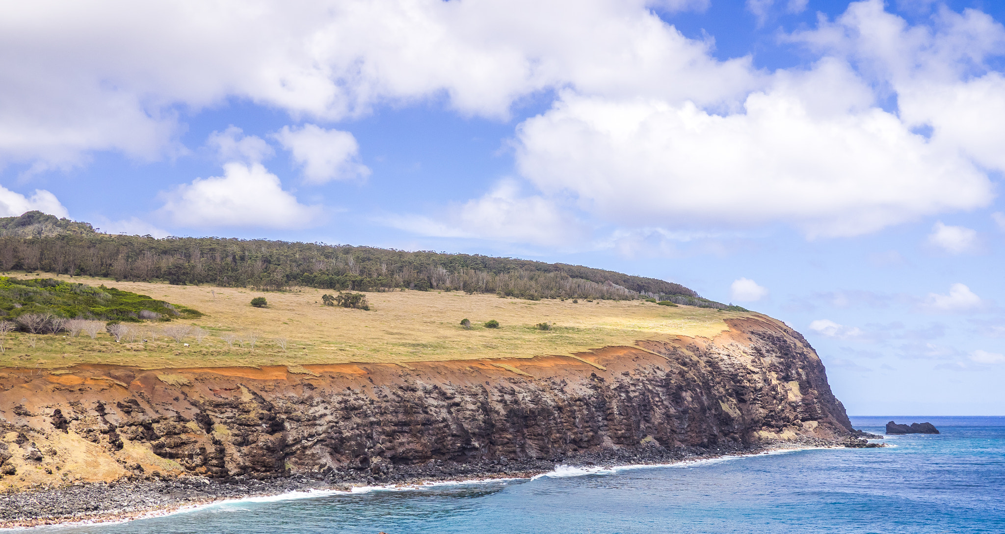 Olympus OM-D E-M1 + Panasonic Lumix G 20mm F1.7 ASPH sample photo. Volcanic cliffs of easter island photography