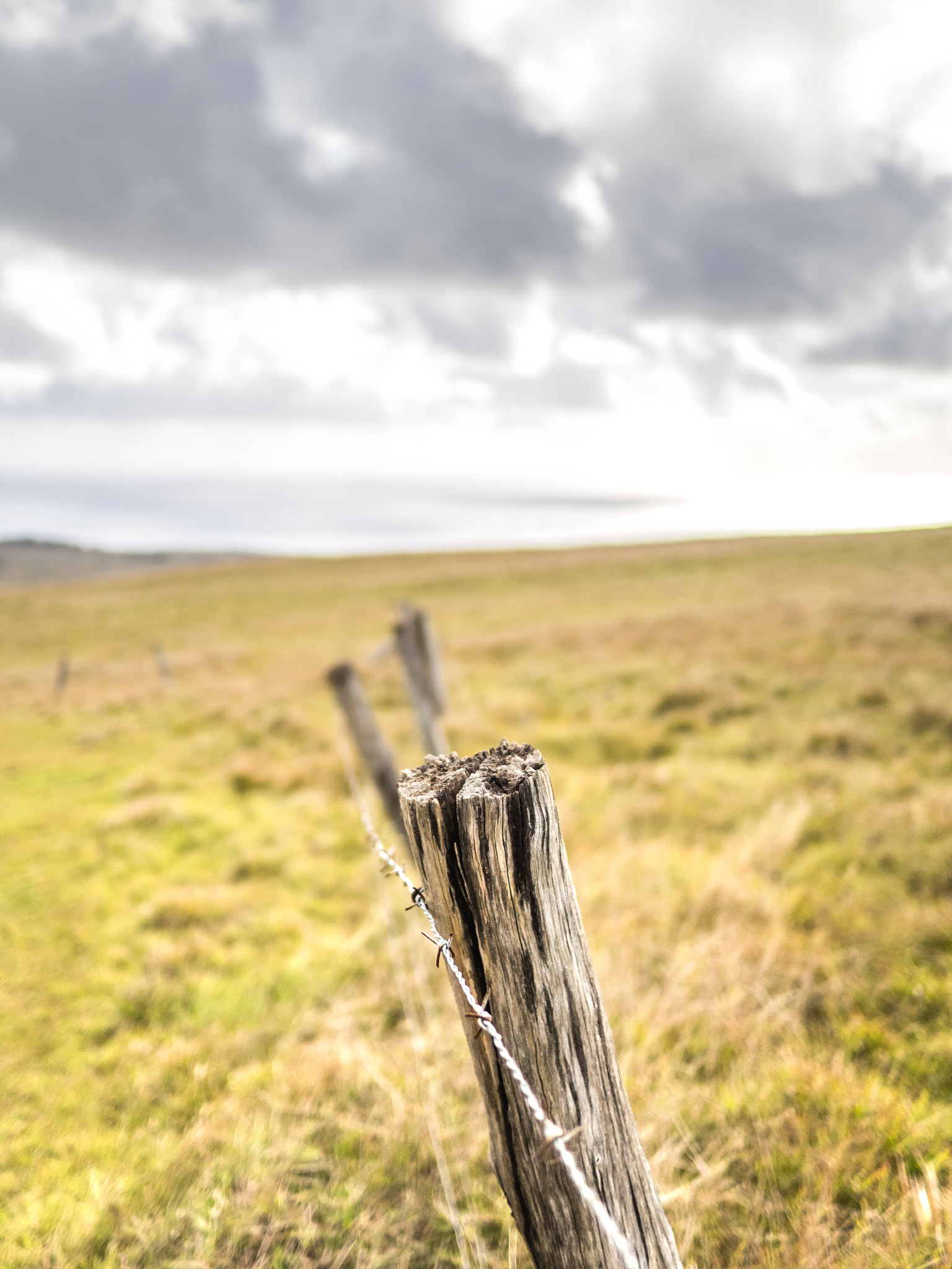 Olympus OM-D E-M1 + Panasonic Lumix G 20mm F1.7 ASPH sample photo. Easter island fence photography