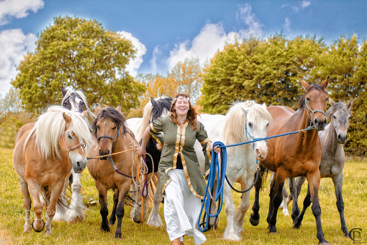 Nikon AF-S Nikkor 24-70mm F2.8G ED sample photo. Horse power photography