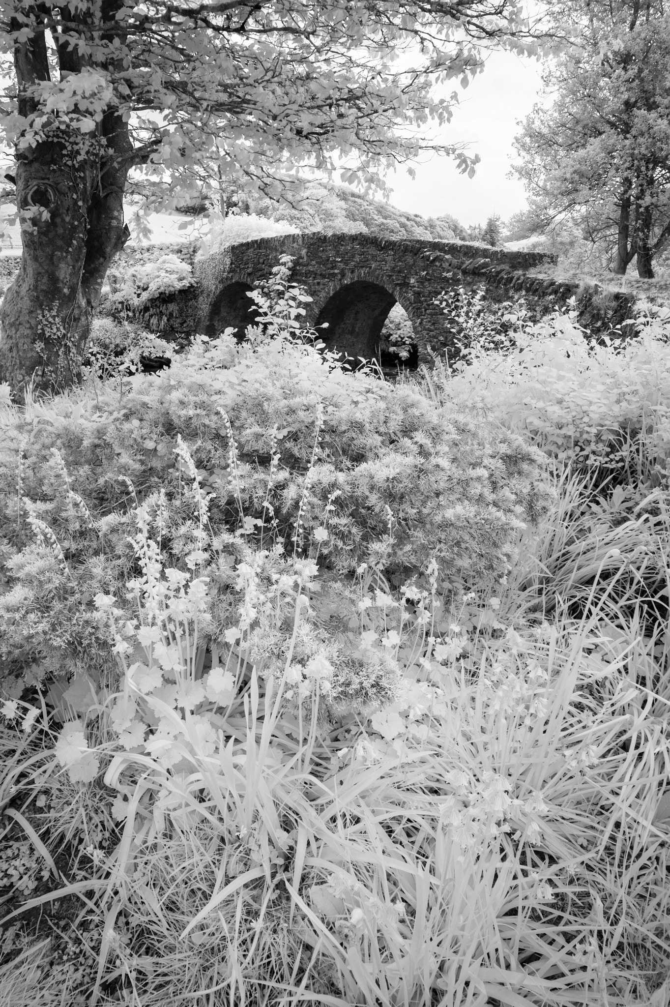 Nikon AF-S Nikkor 18-35mm F3.5-4.5G ED sample photo. Stunning black and white infrared landscape image of old bridge photography