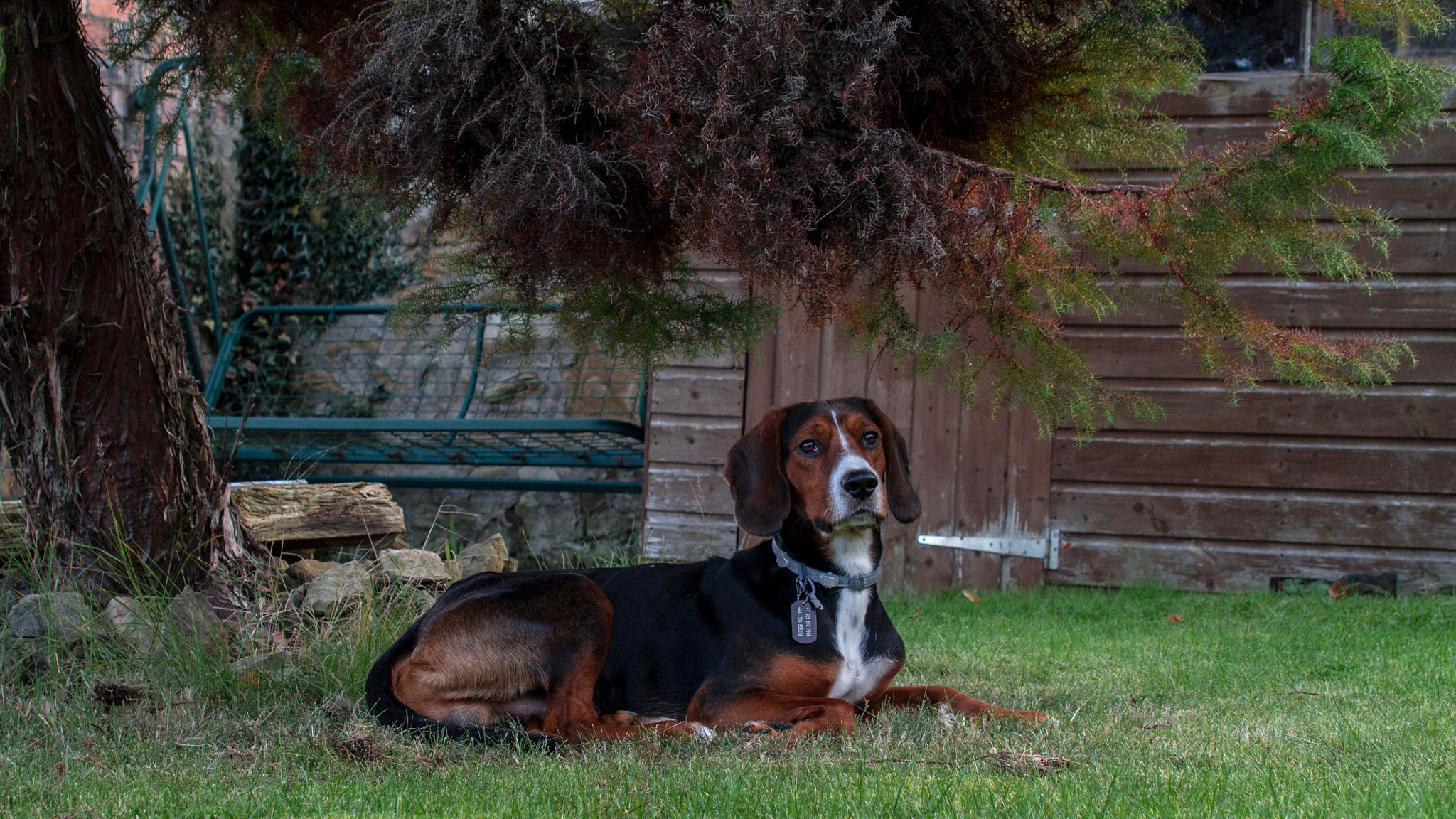 Canon EF 28-105mm f/3.5-4.5 USM sample photo. Attik photography