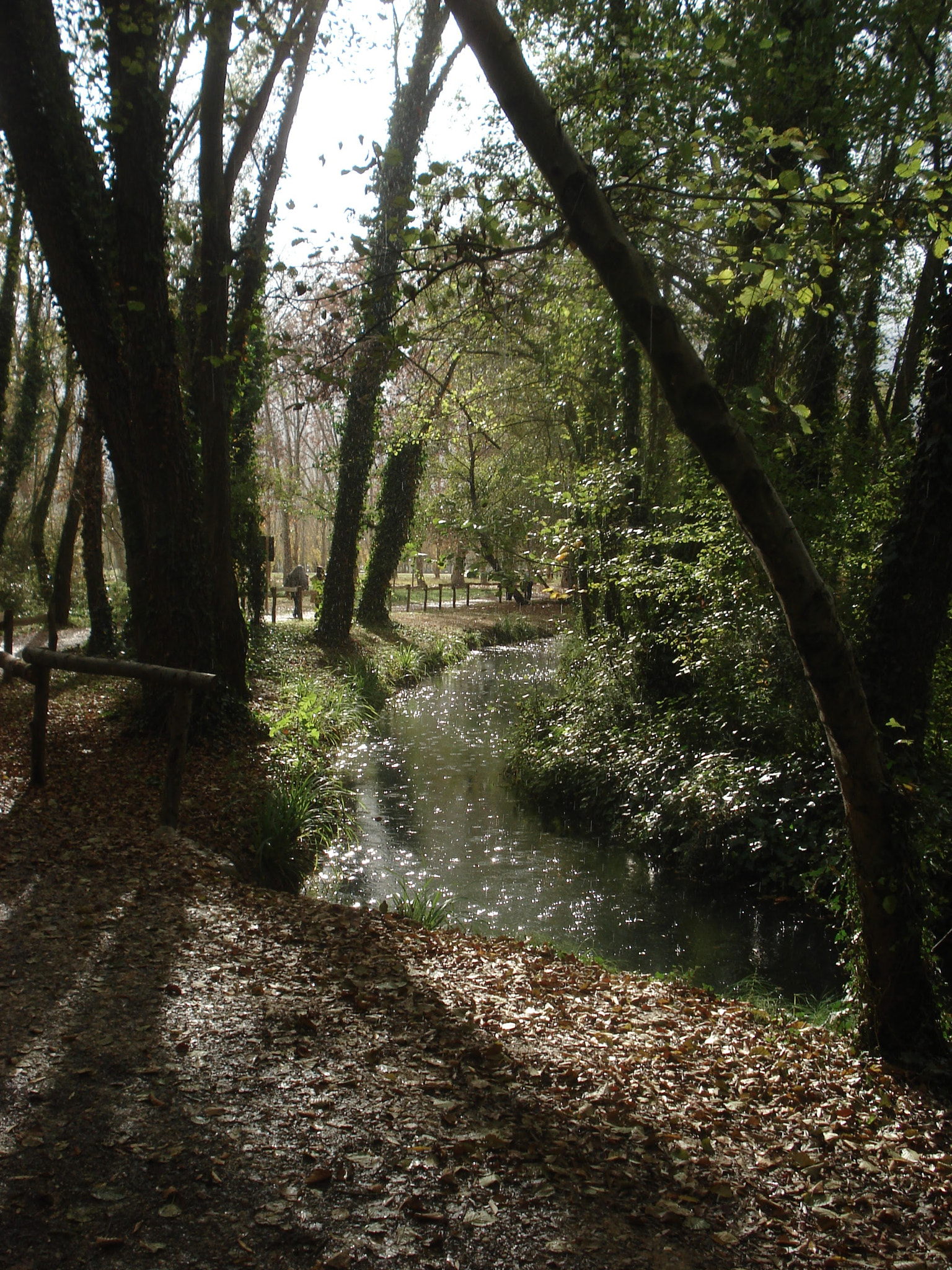 Sony DSC-W40 sample photo. Plou i fa sol a l'estany de banyoles photography