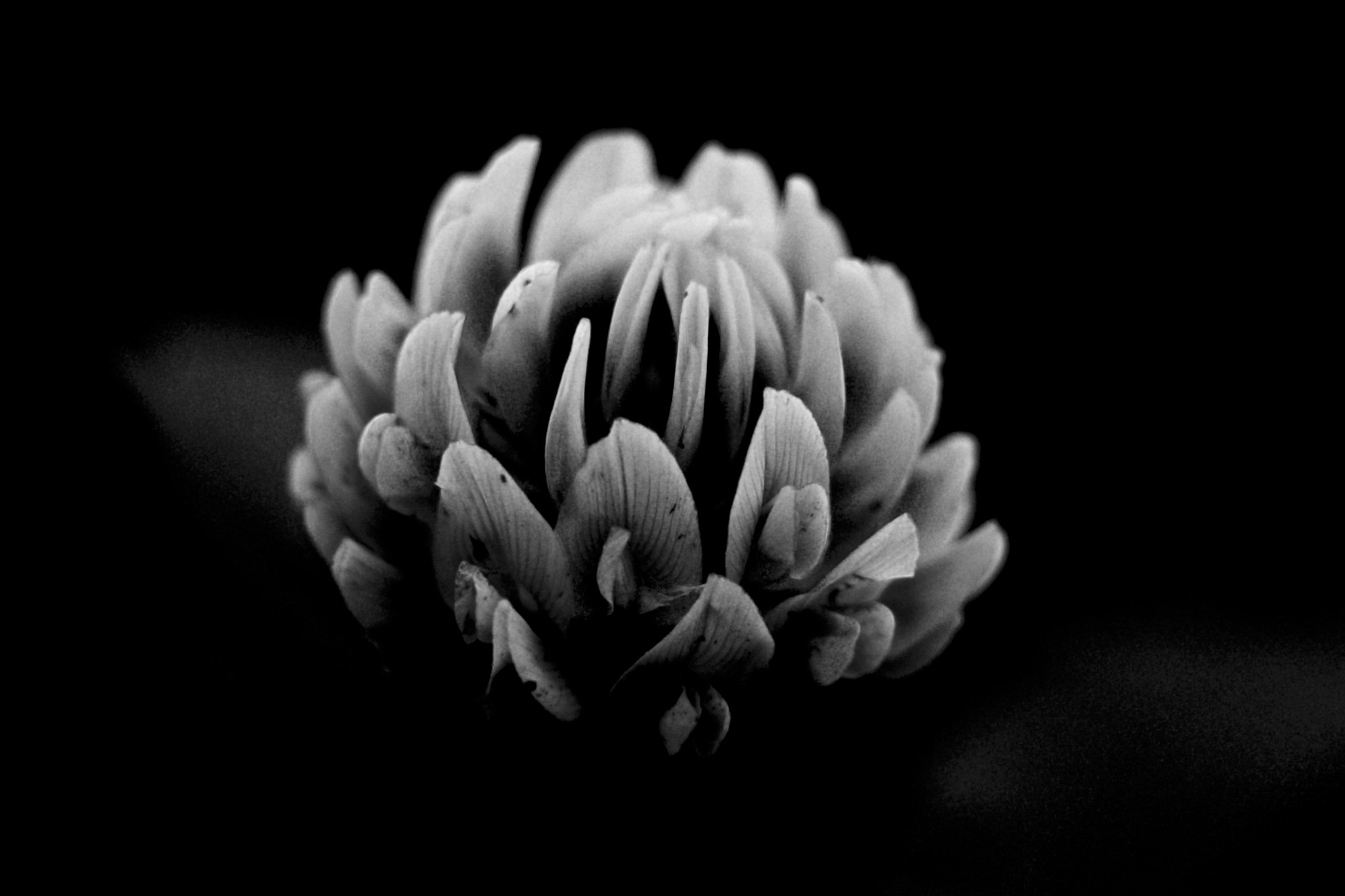 Sony a6000 + Sony Vario-Tessar T* E 16-70mm F4 ZA OSS sample photo. B&w photography