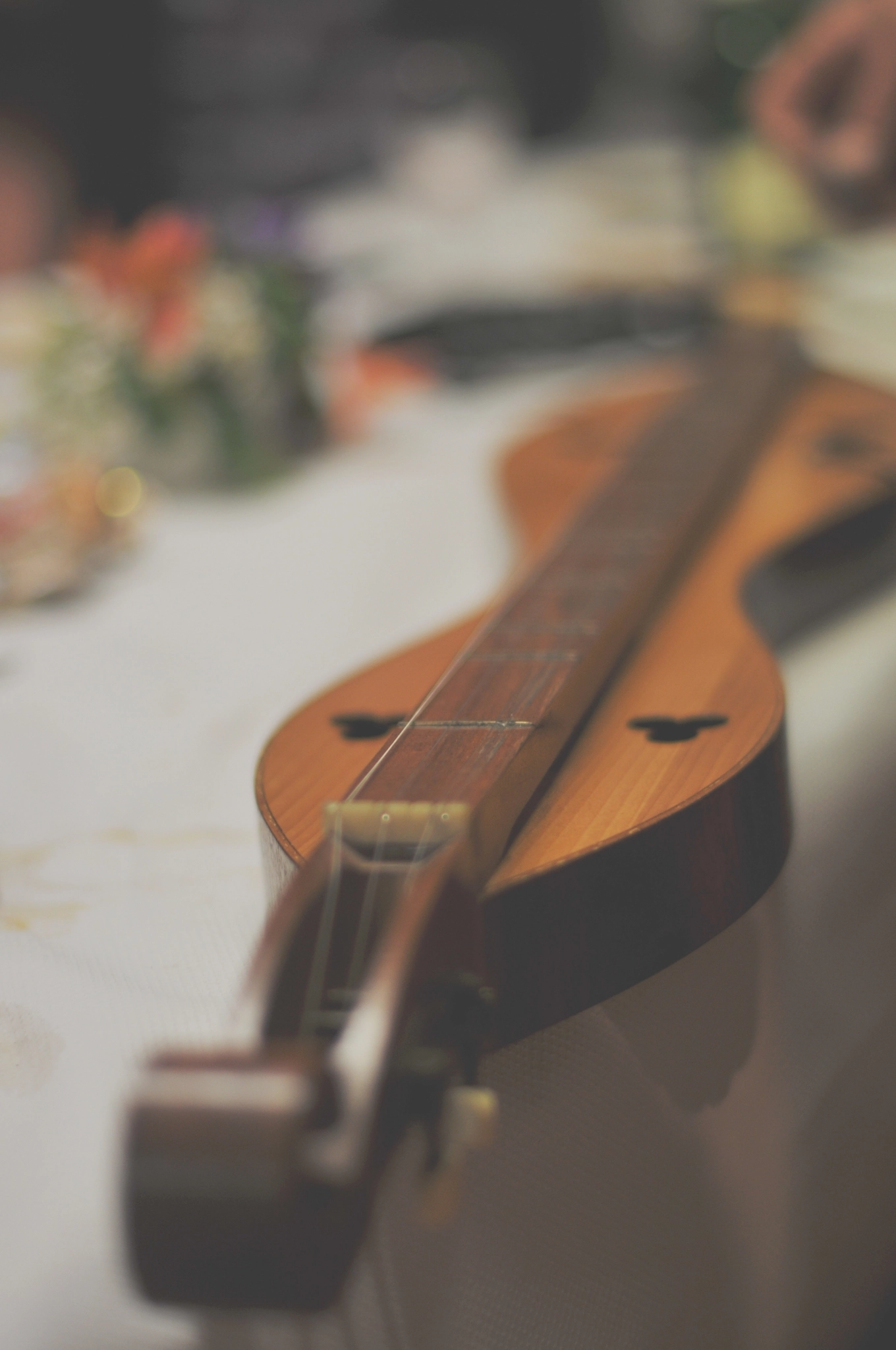 Nikon D300S + Nikon AF-S Nikkor 50mm F1.4G sample photo. Dulcimer photography