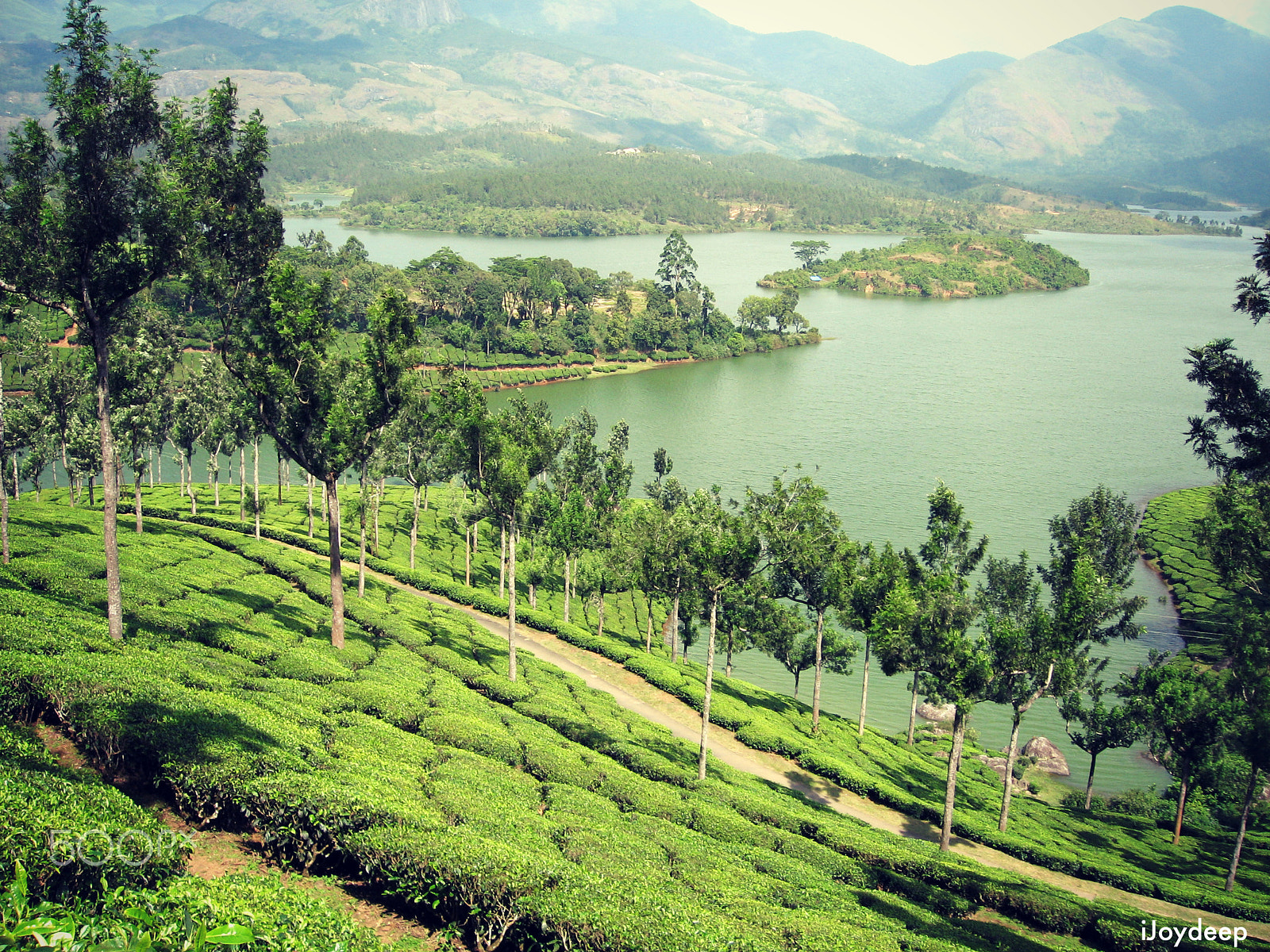 Canon POWERSHOT A540 sample photo. Old memories at munnar,kerala 2007 photography